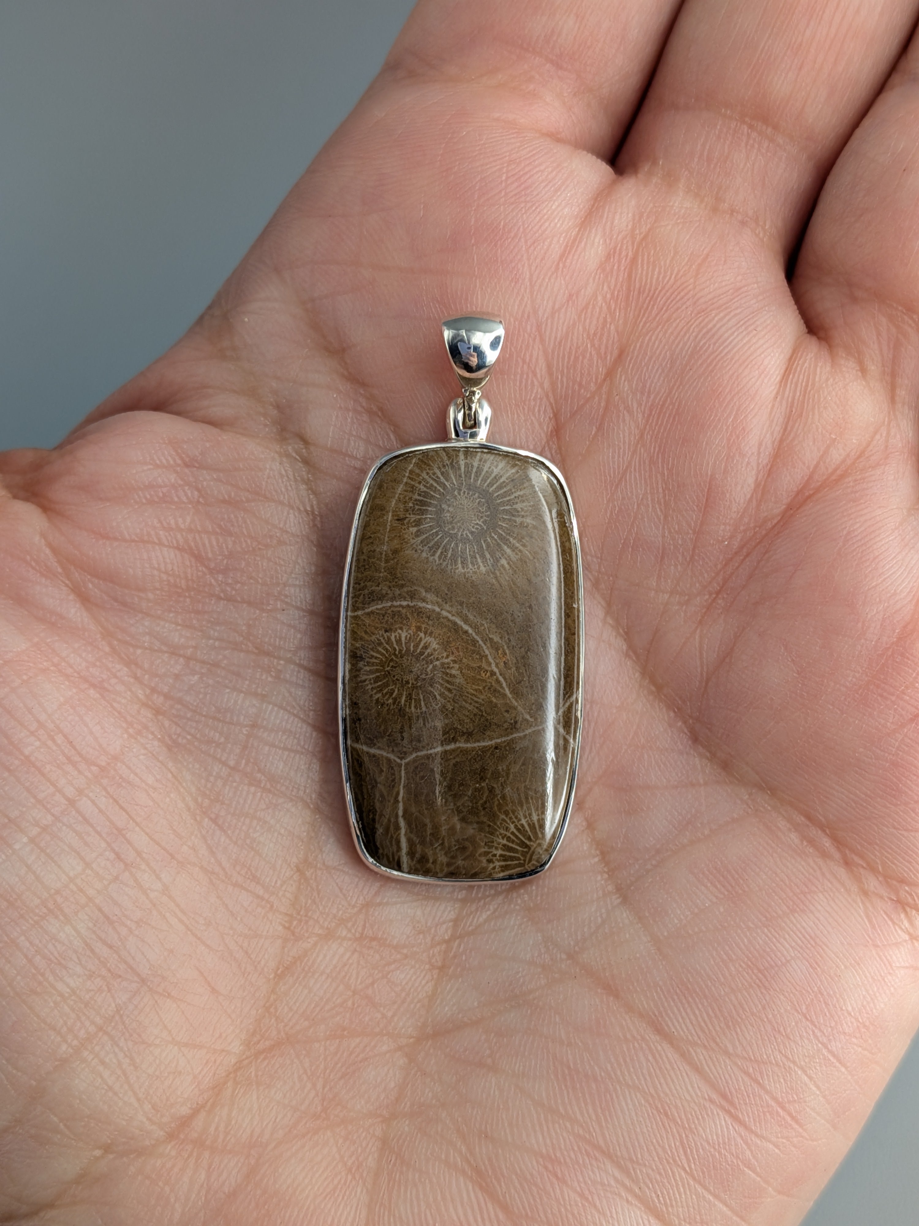 •FOSSILIZED CORAL - SOFT RECTANGLE• sterling silver pendant