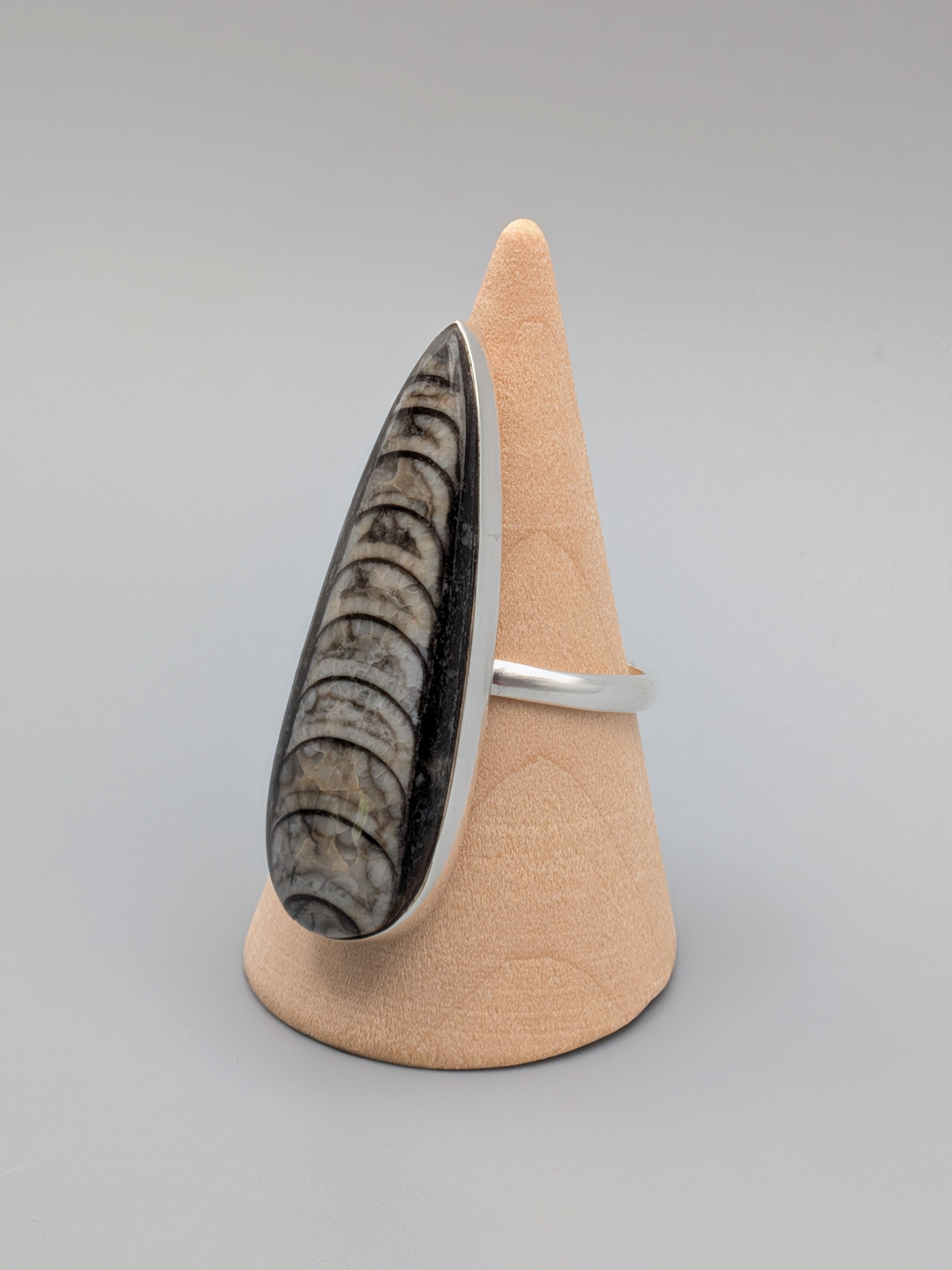 •ORTHOCERAS - TEARDROP• simple bezel silver ring (size 10)