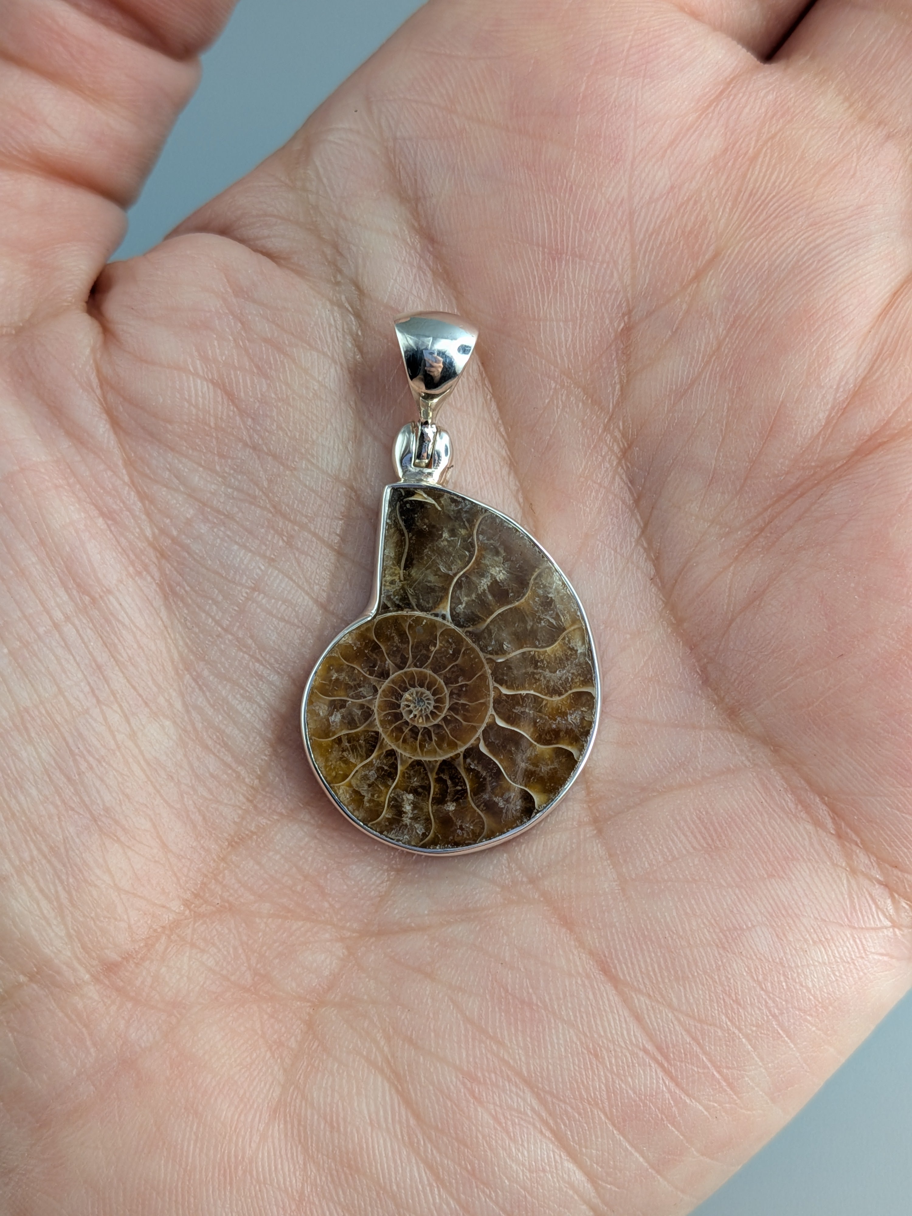 •AMMONITE - SMALL• sterling silver pendant