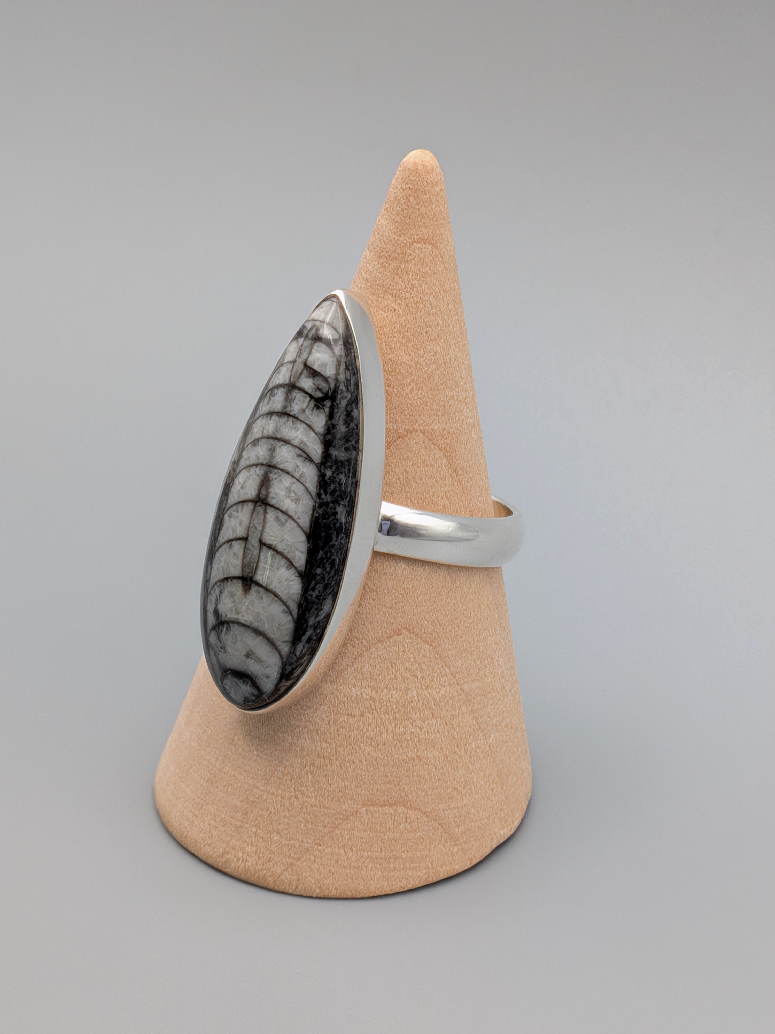 •ORTHOCERAS - TEARDROP• simple bezel silver ring (size 9)
