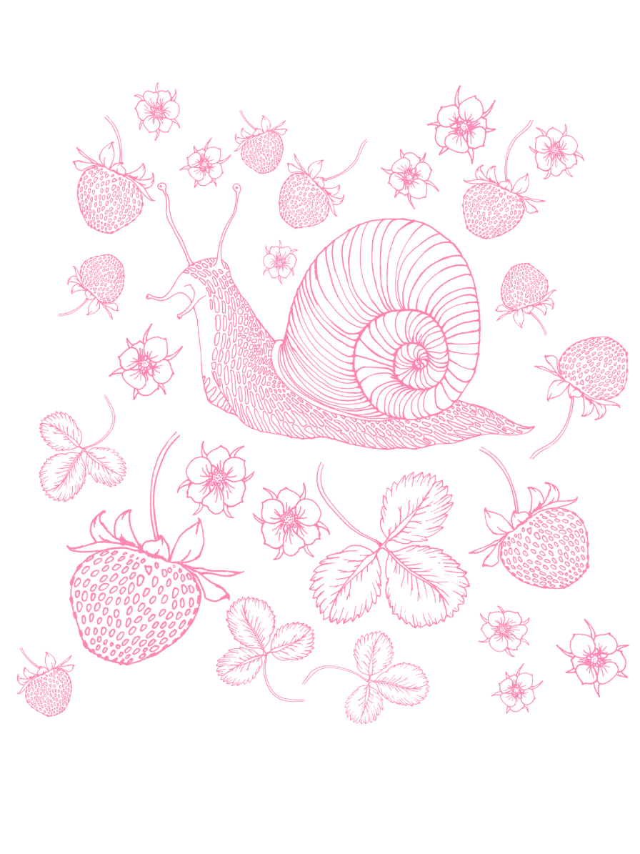 •SNAIL• organic cotton cropped top (USA)