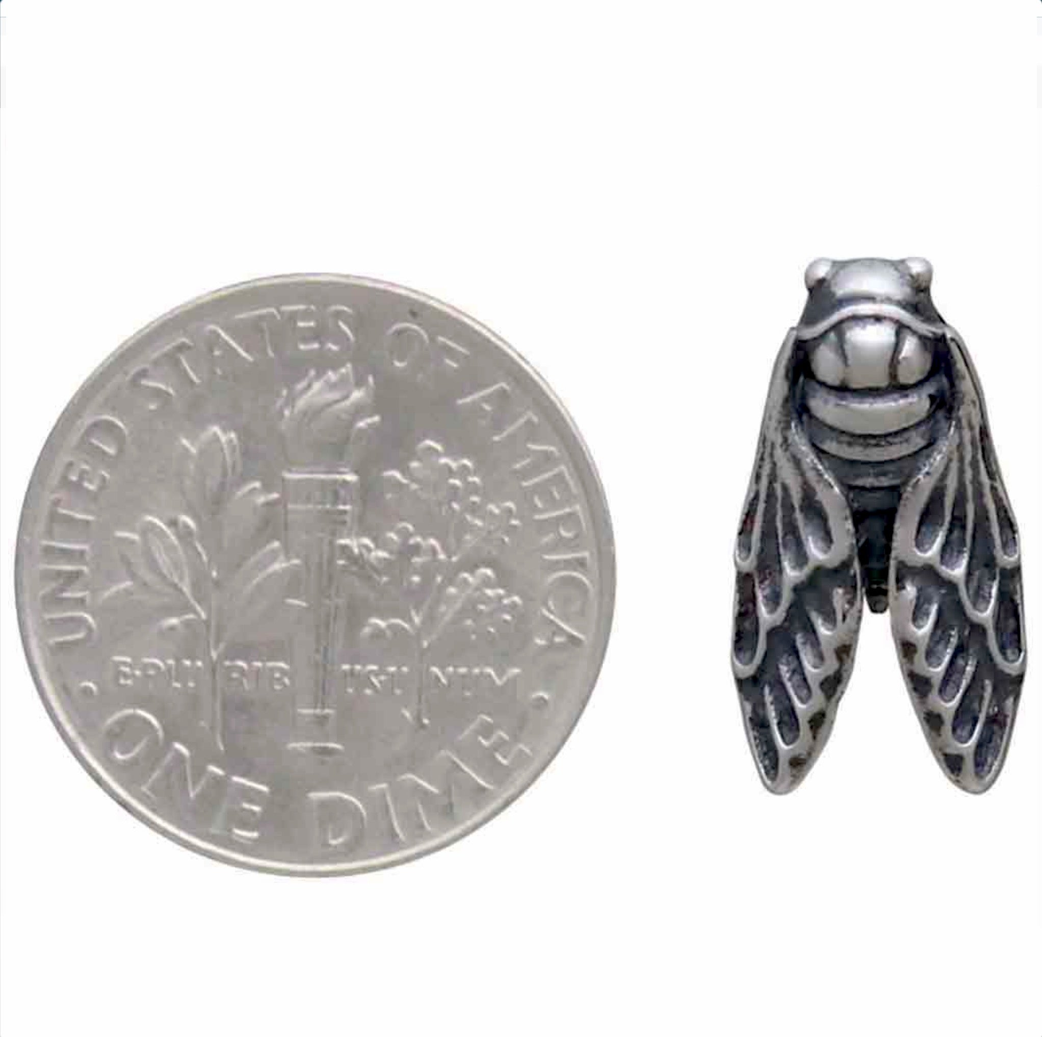 •CICADA• silver stud earrings