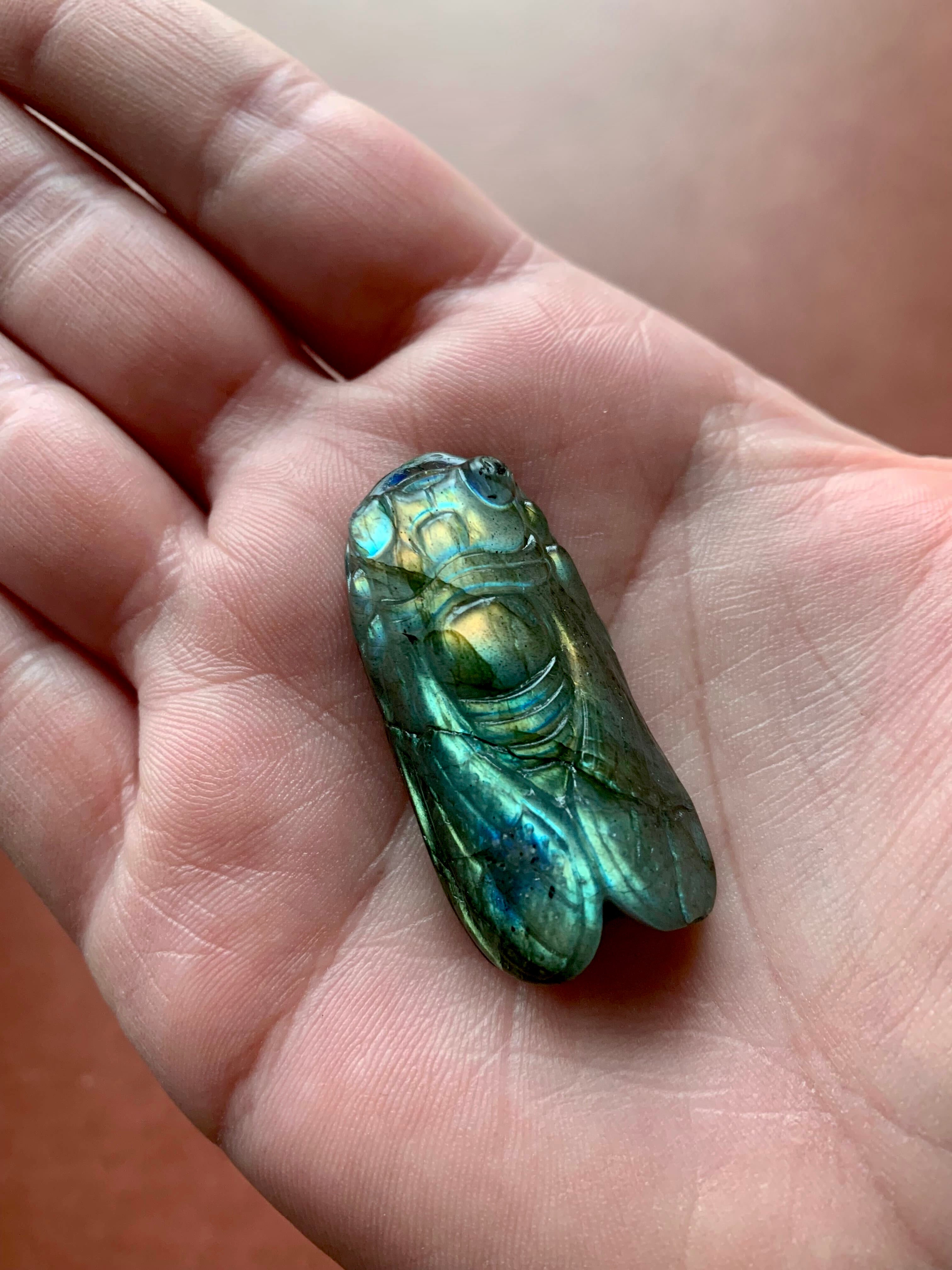 • CICADA • hand carved labradorite