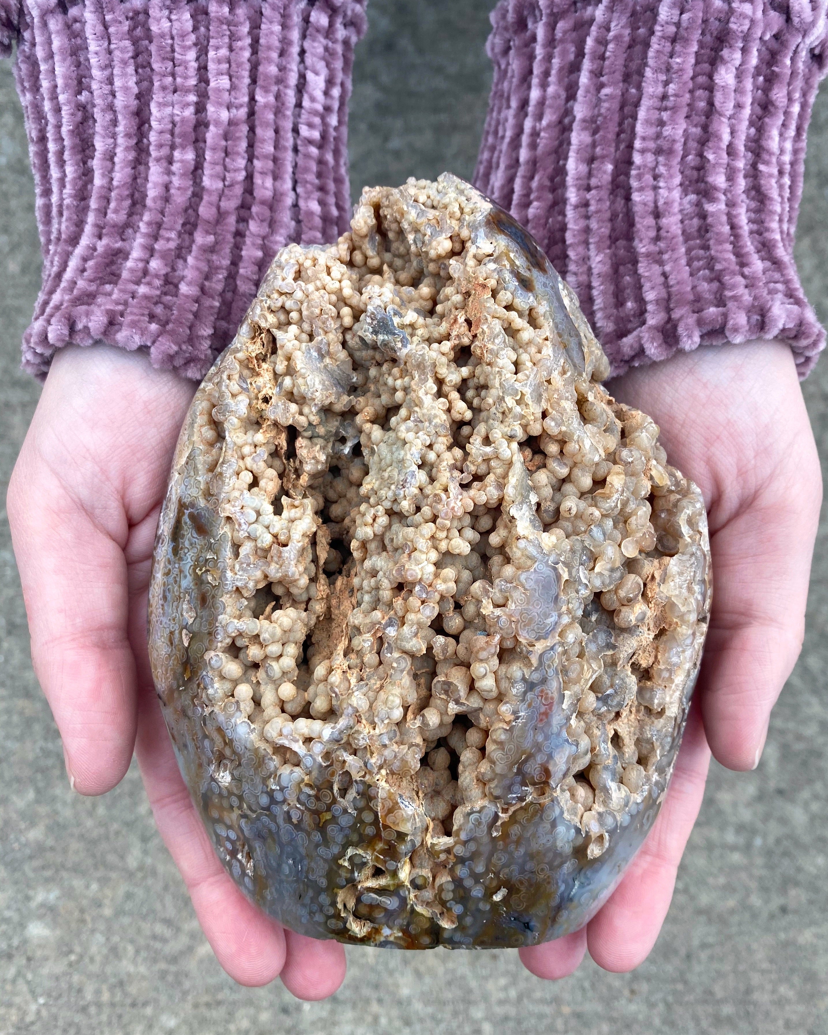 • OCEAN JASPER • COLLECTOR'S SPECIMEN