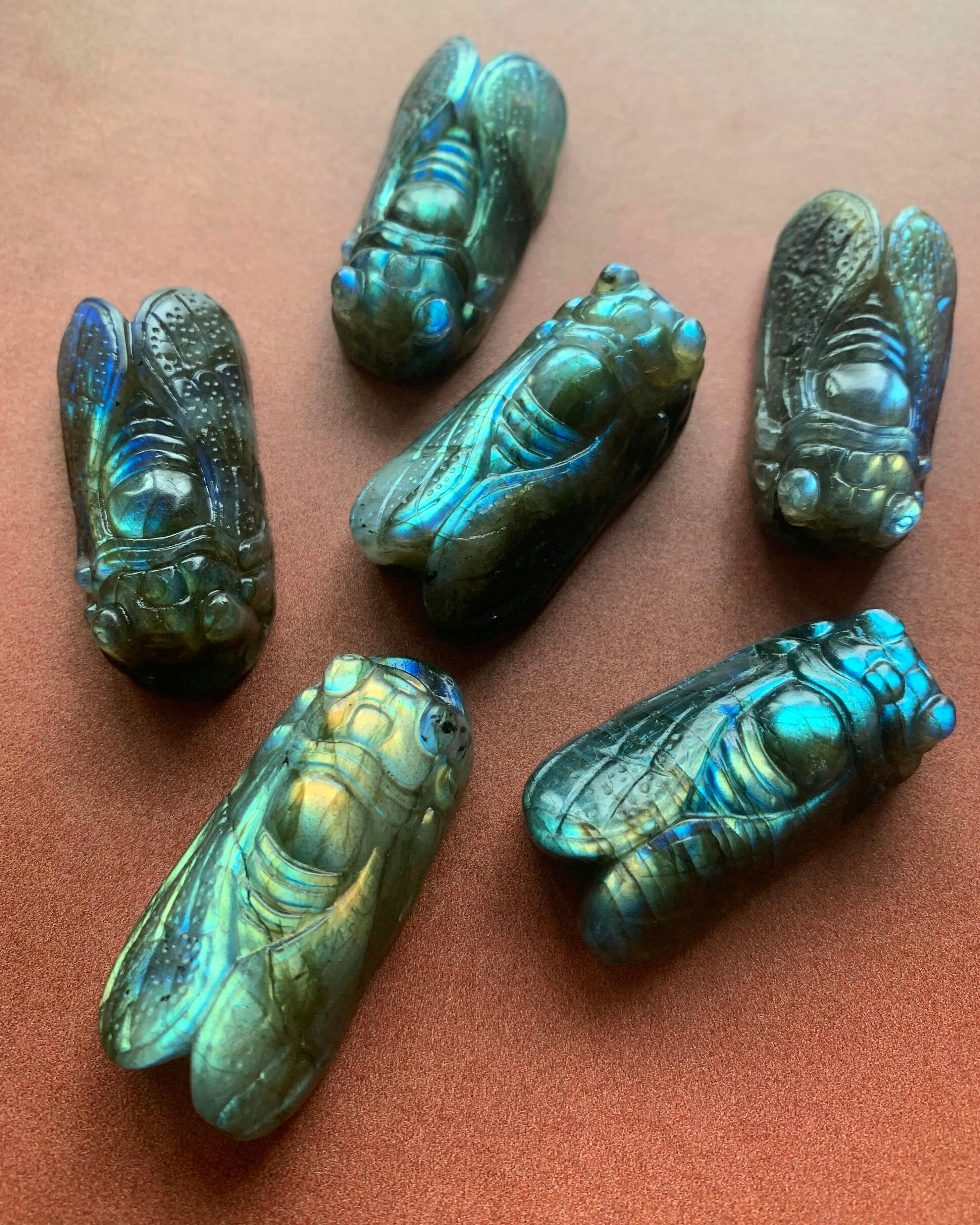 • CICADA • hand carved labradorite