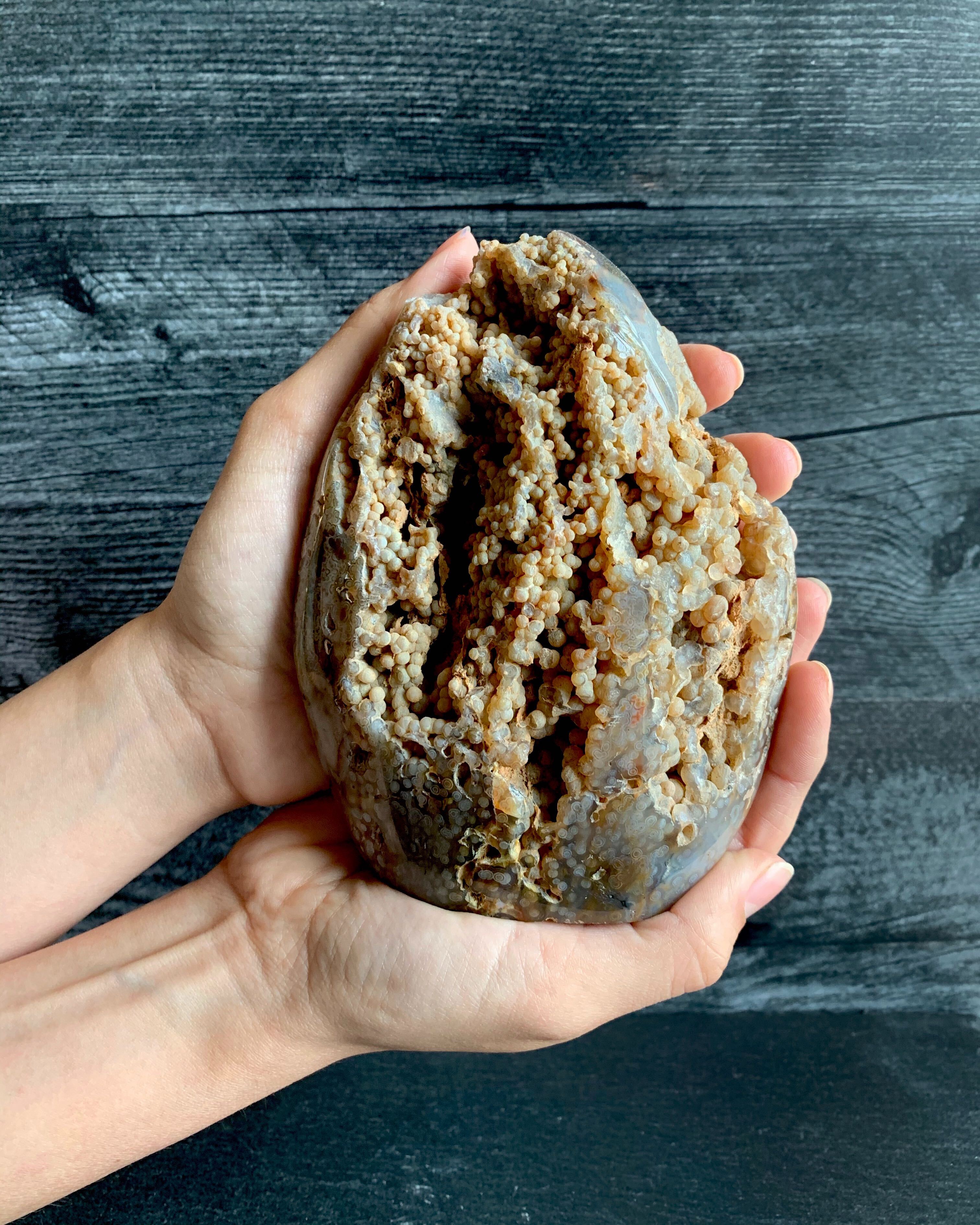 • OCEAN JASPER • COLLECTOR'S SPECIMEN