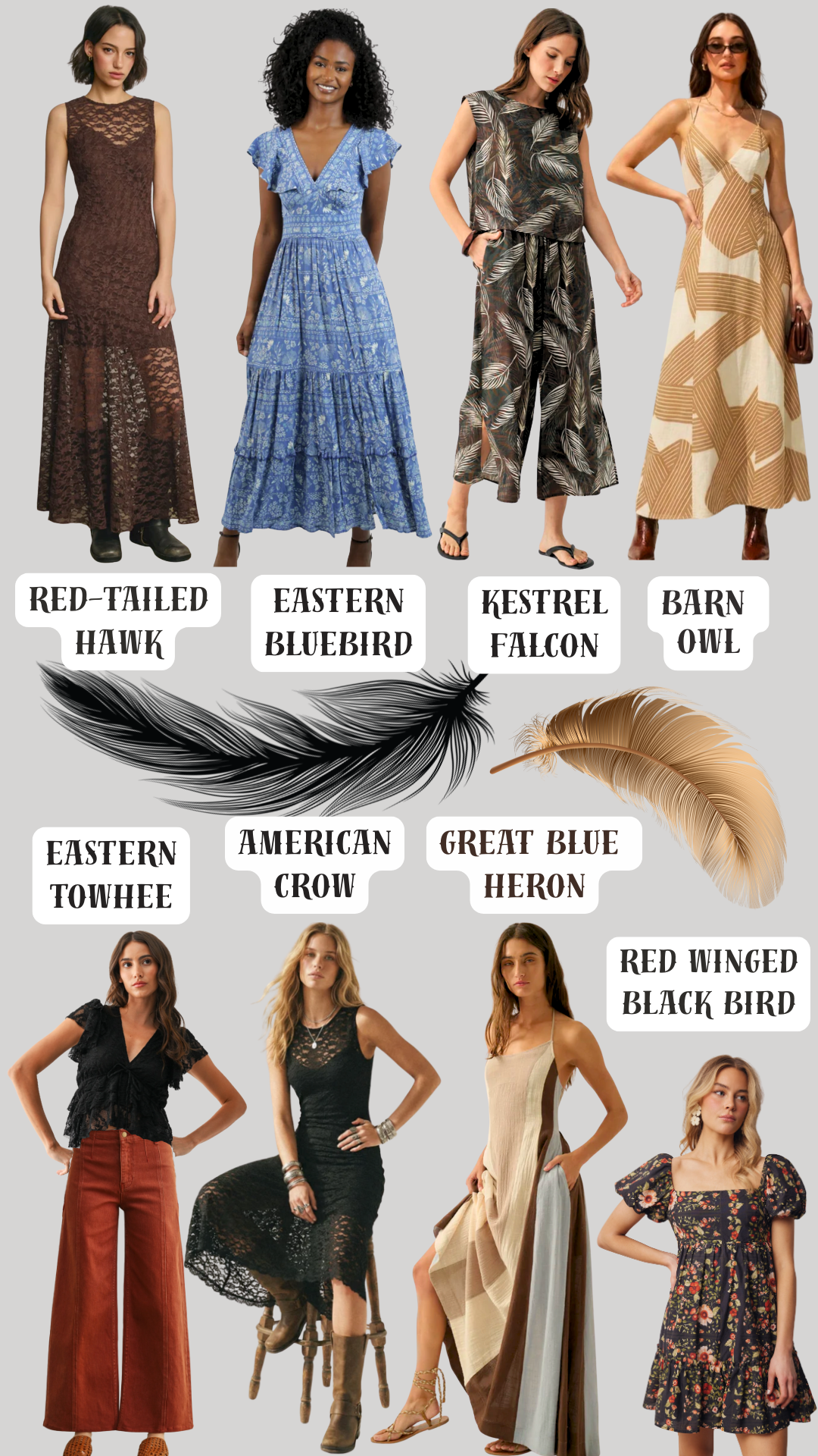 FEATHERED FRIENDS '26
