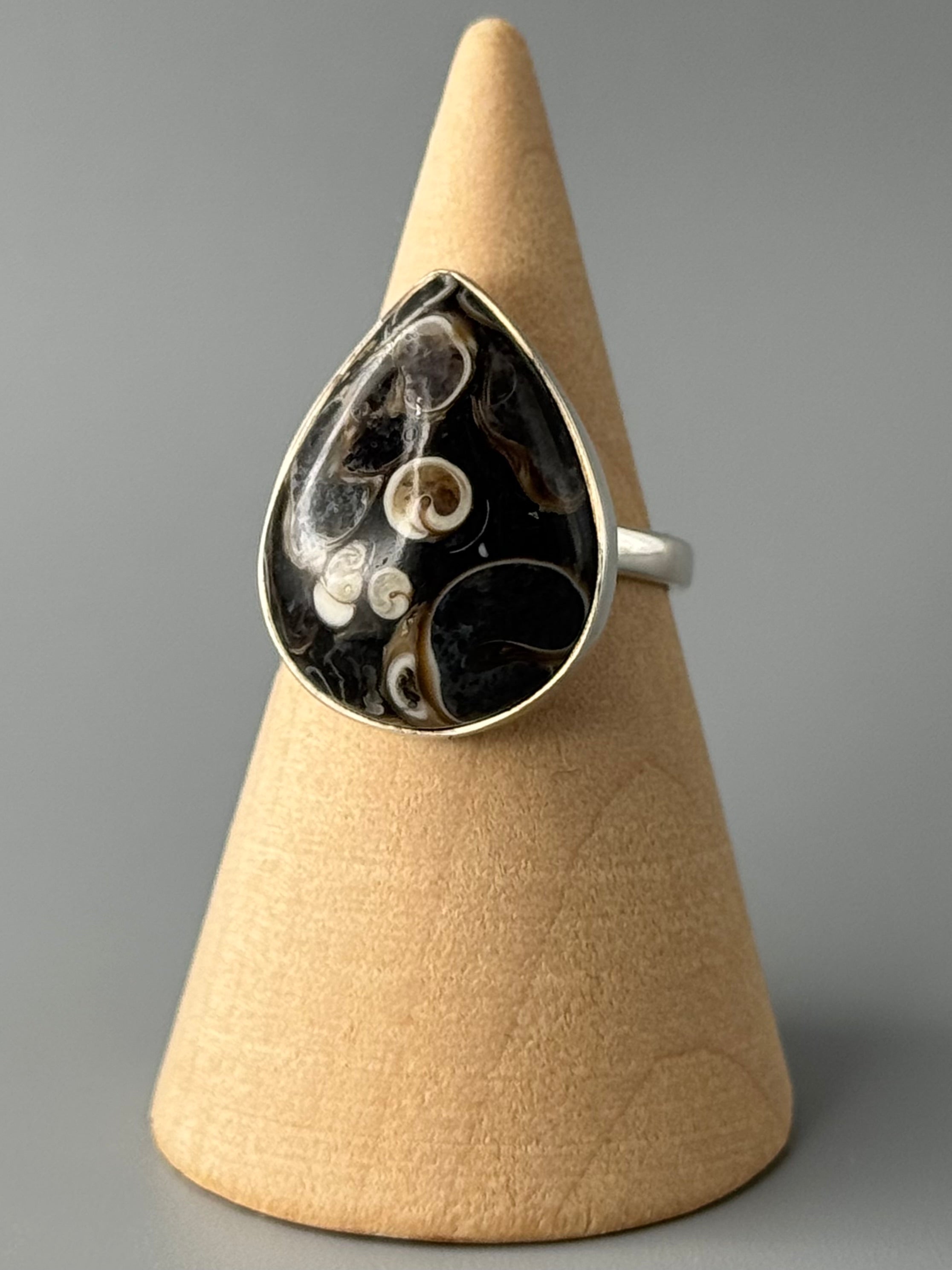 •TURRITELLA FOSSIL - TEAR - 1• simple bezel silver ring (size 6)