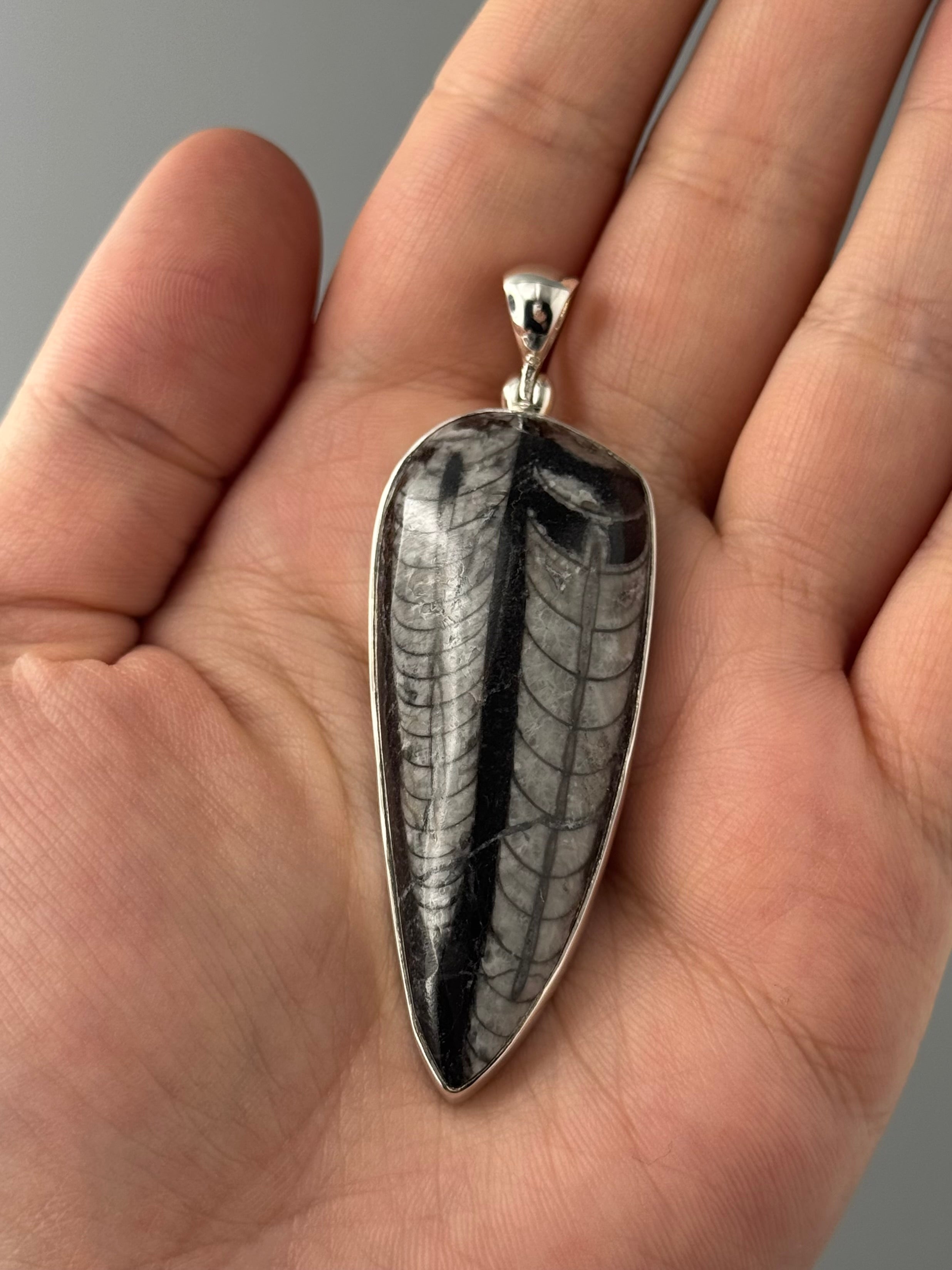 •ORTHOCERAS FOSSIL - 1• sterling silver pendant