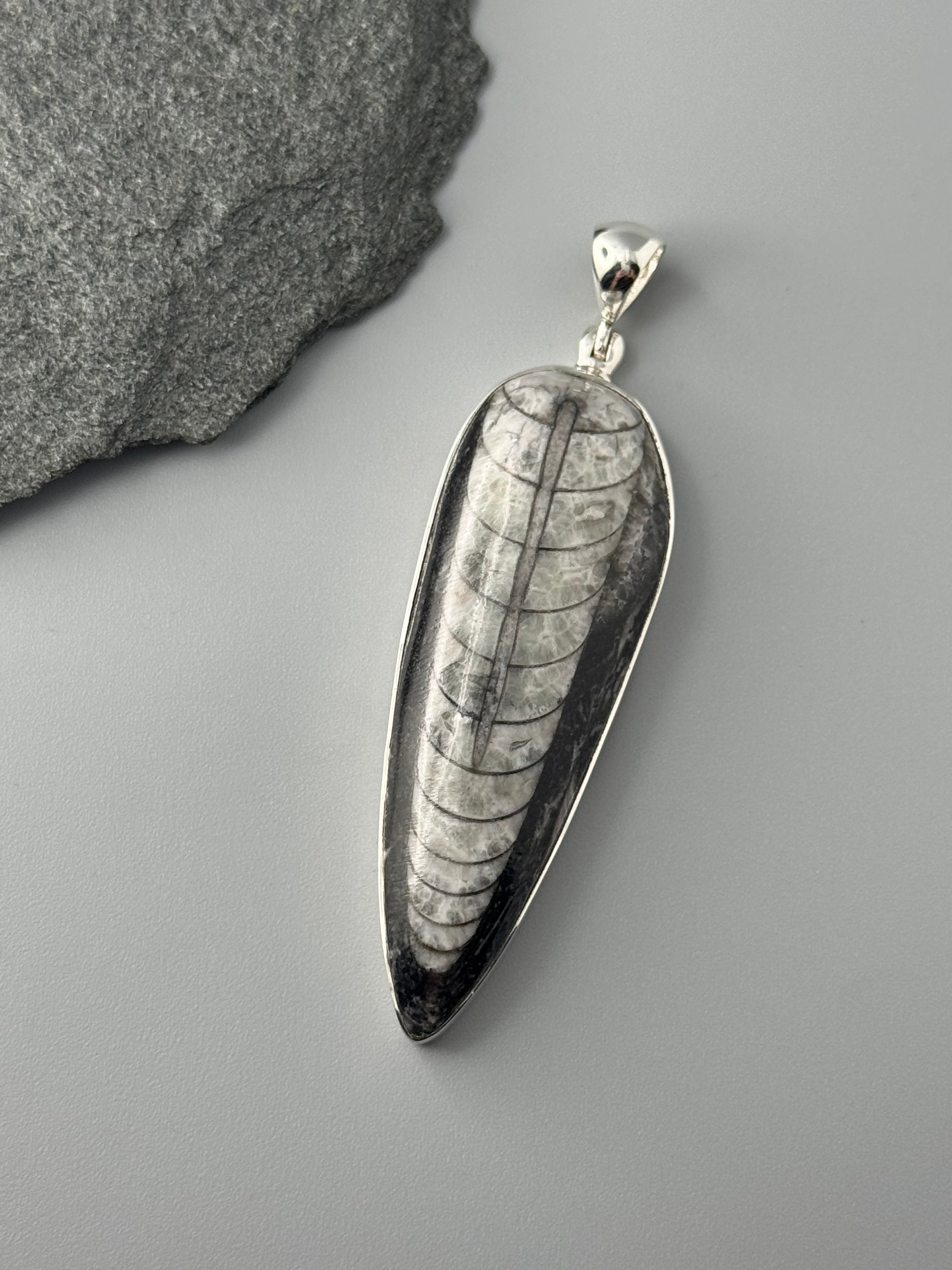 •ORTHOCERAS FOSSIL - 2• sterling silver pendant