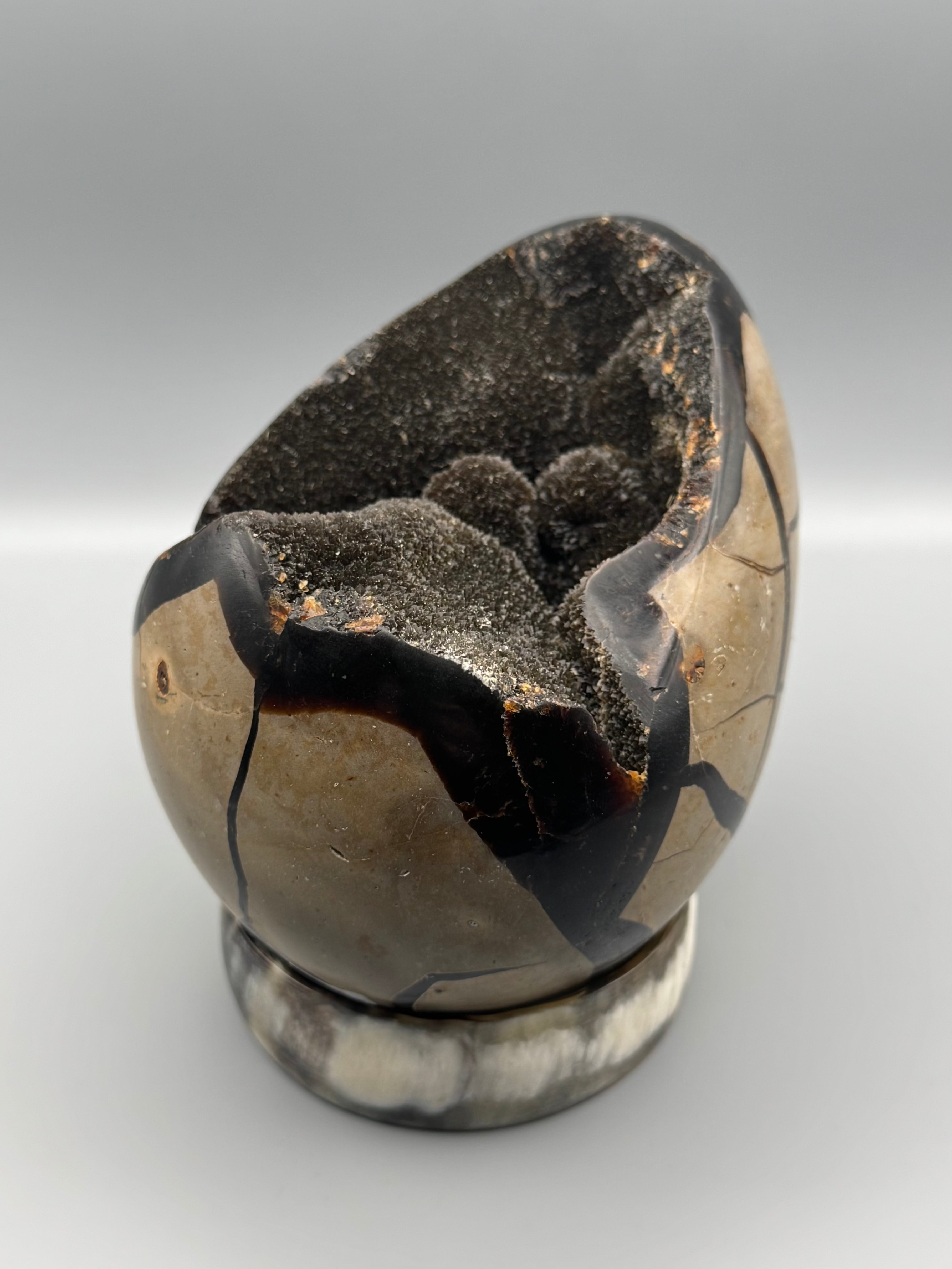 •SEPTARIAN NODULE• dragon egg