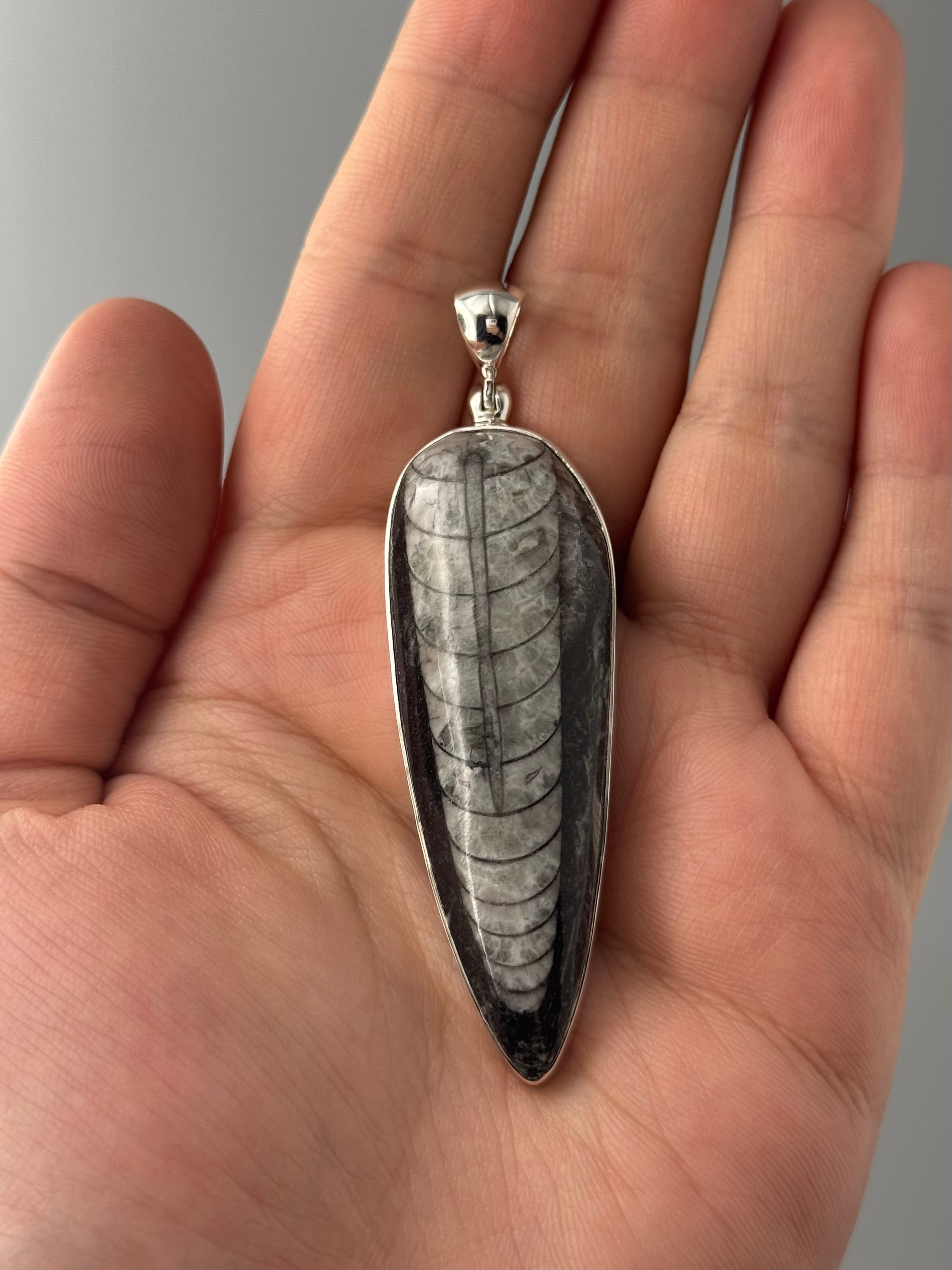 •ORTHOCERAS FOSSIL - 2• sterling silver pendant