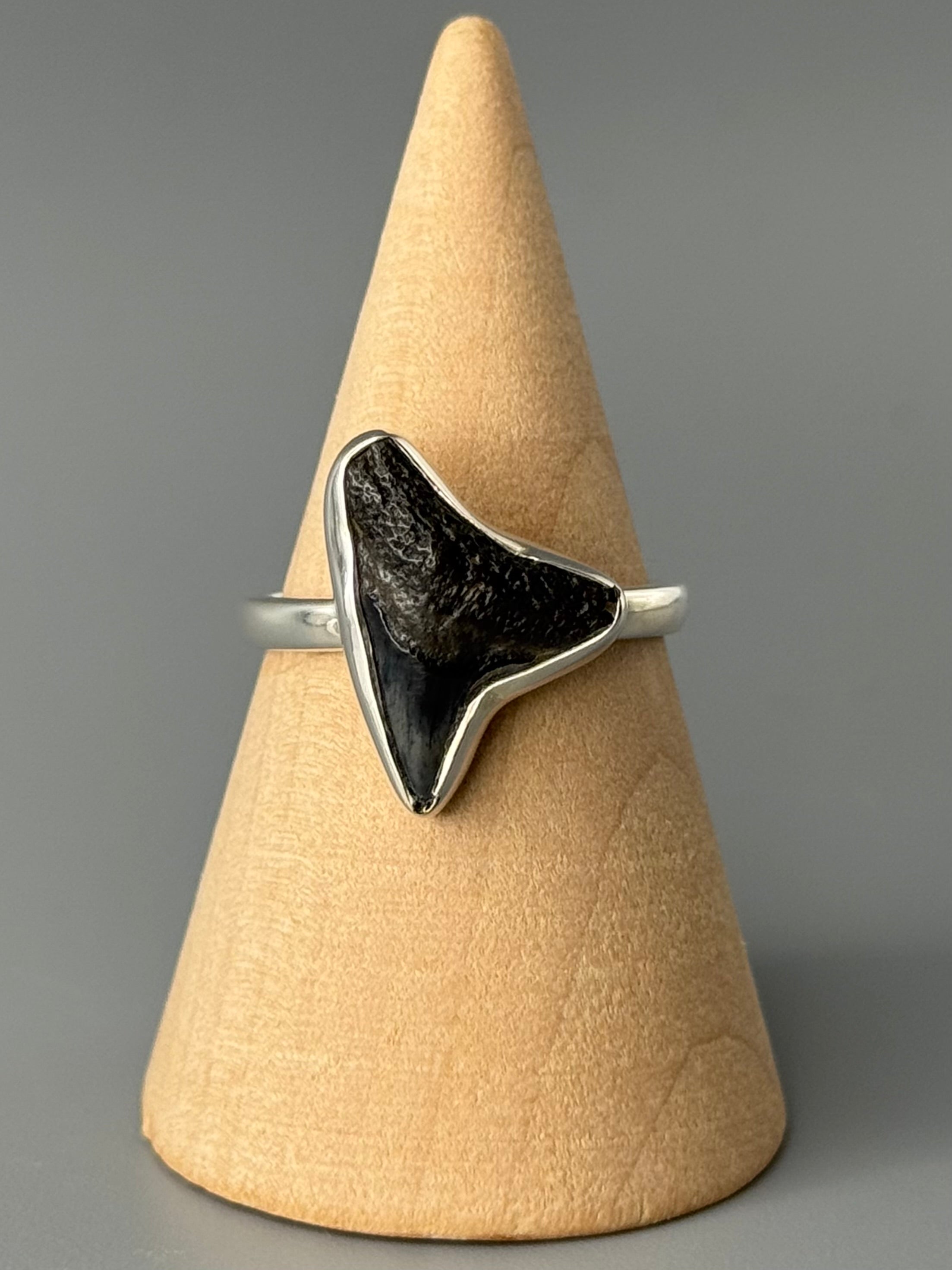 •FOSSILIZED SHARK TOOTH• simple bezel silver ring (size 8)