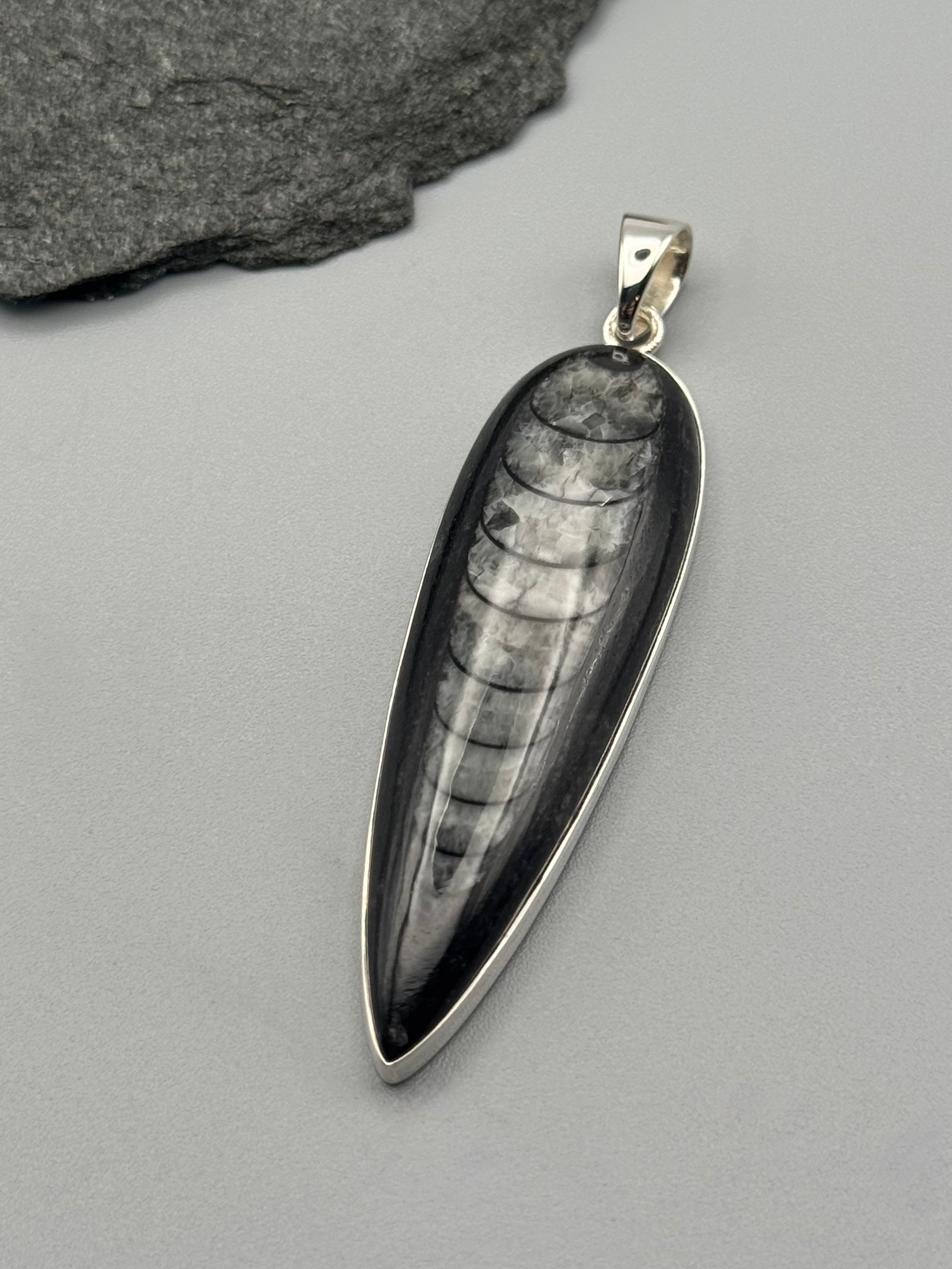 •ORTHOCERAS FOSSIL - SPEAR TEAR 3• sterling silver pendant