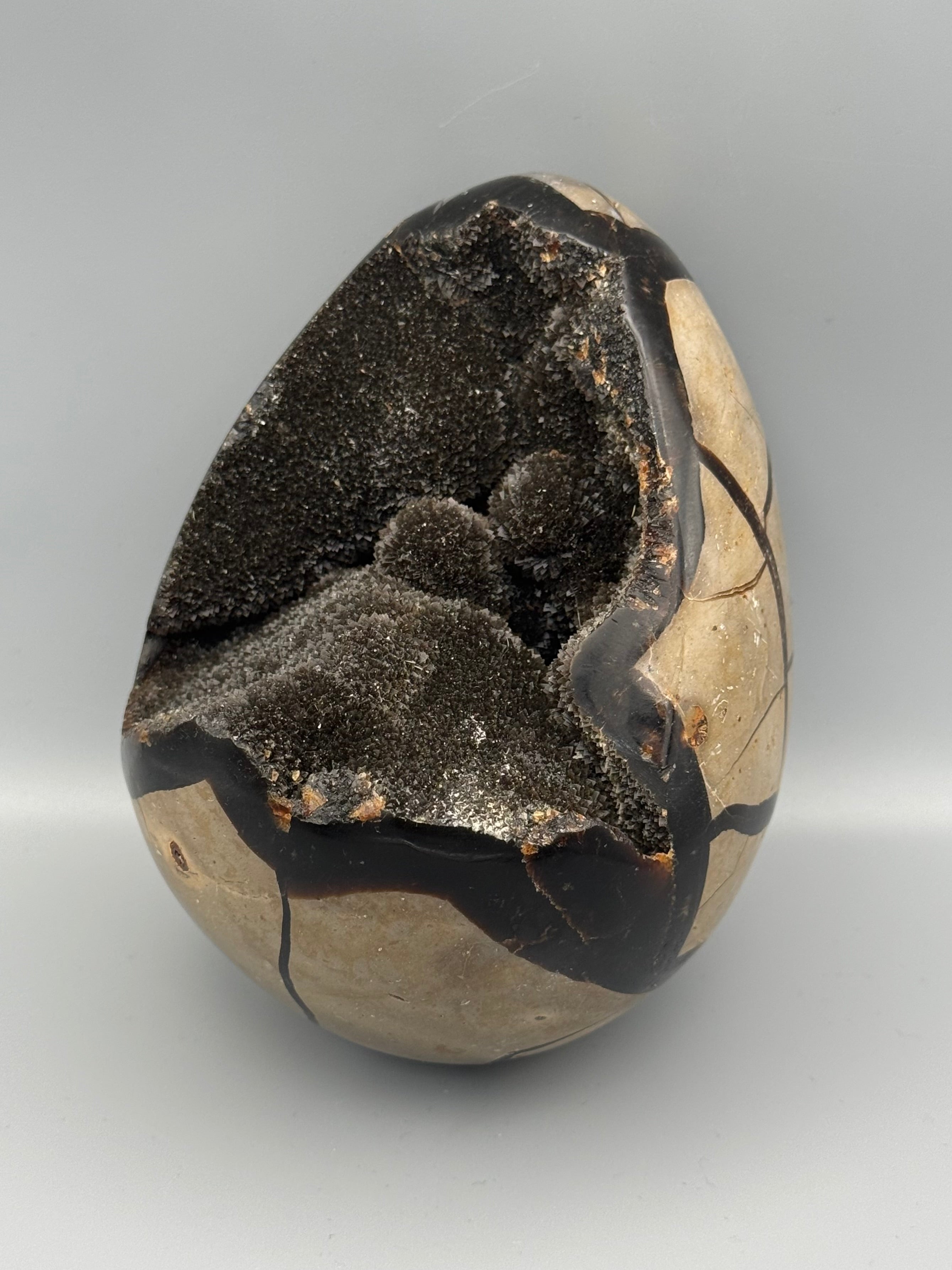 •SEPTARIAN NODULE• dragon egg