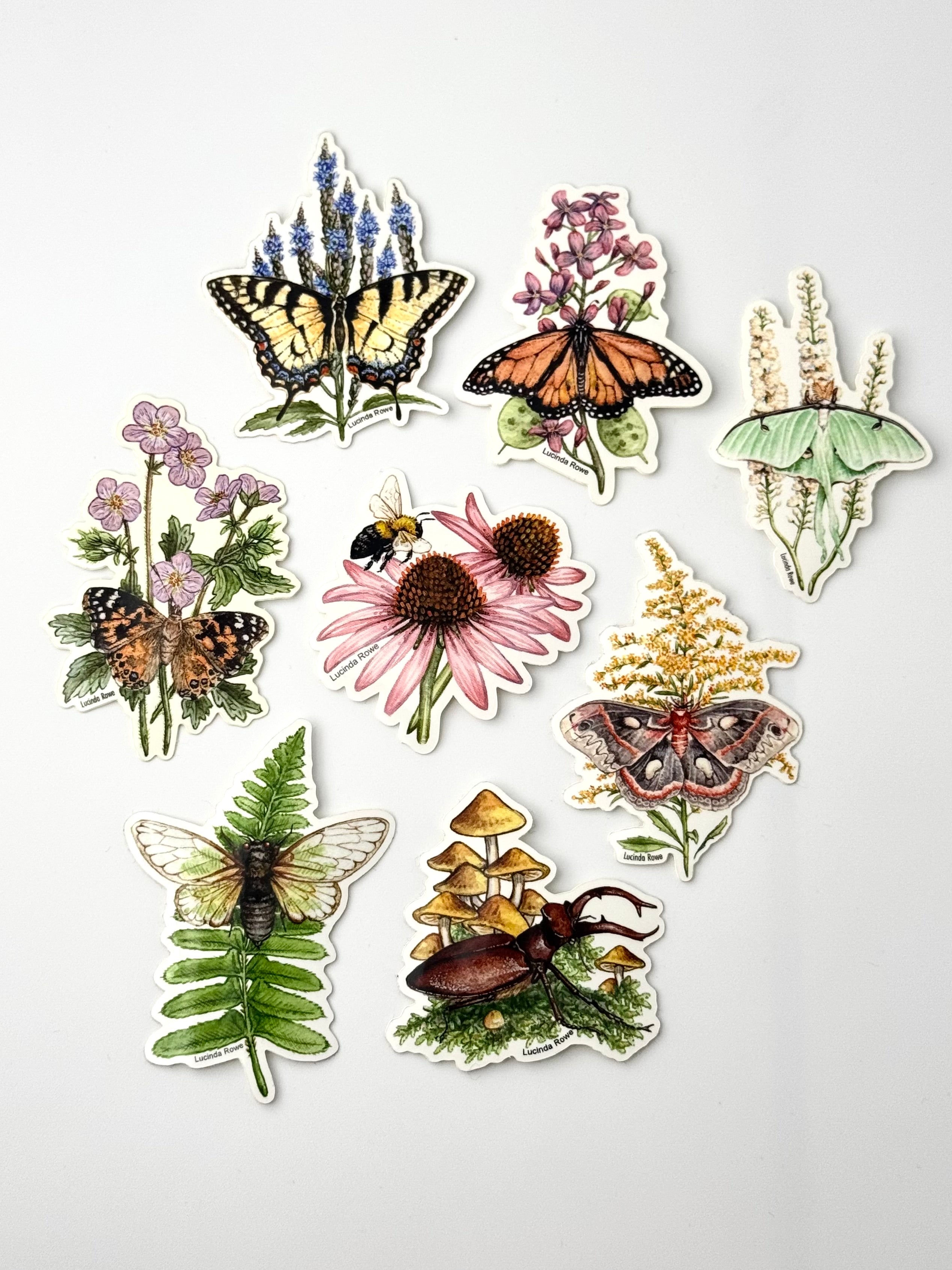 •BUTTERFLIES & BUGS• vinyl stickers