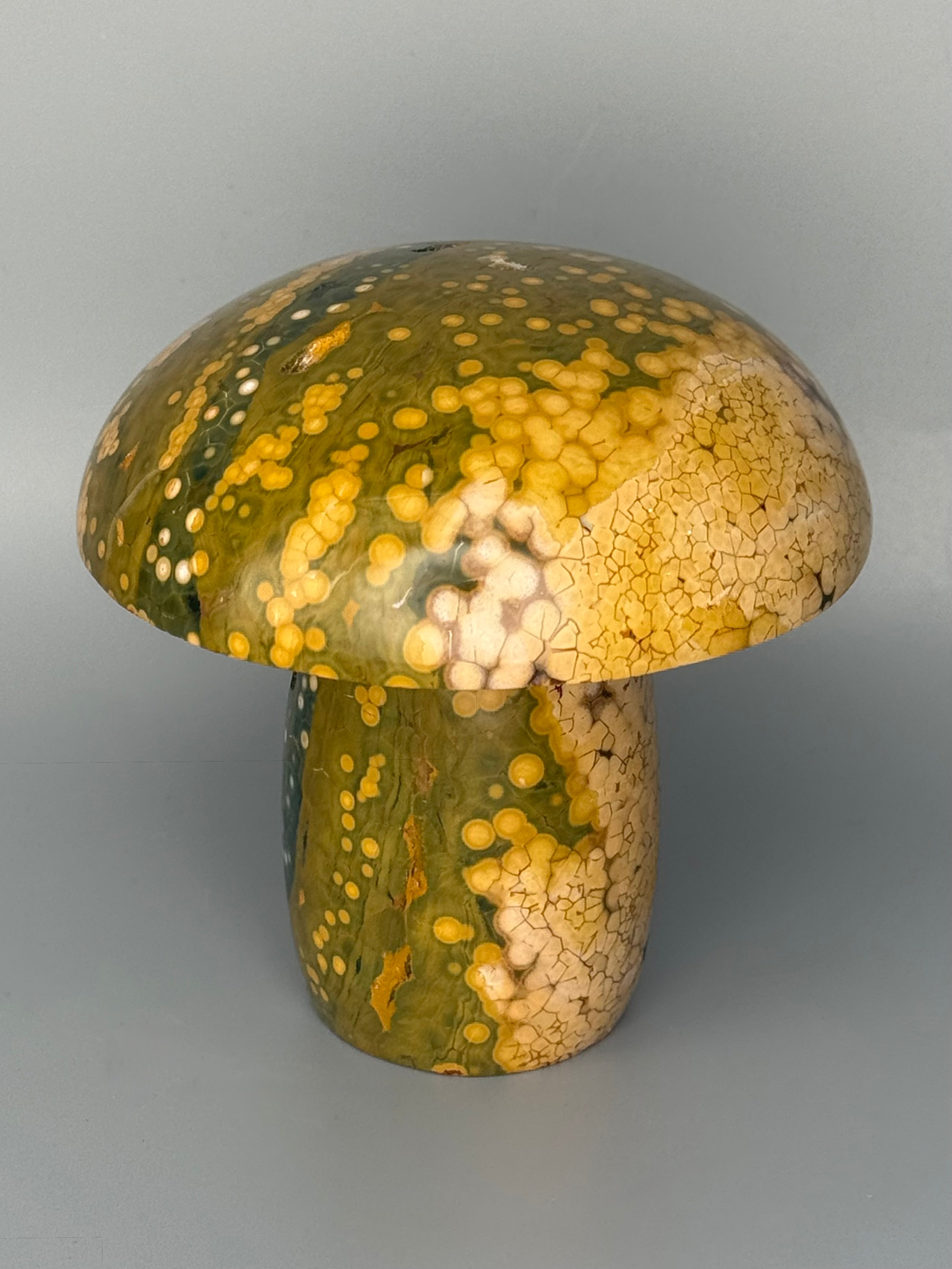 •KABAMBY OCEAN JASPER• carved mushroom