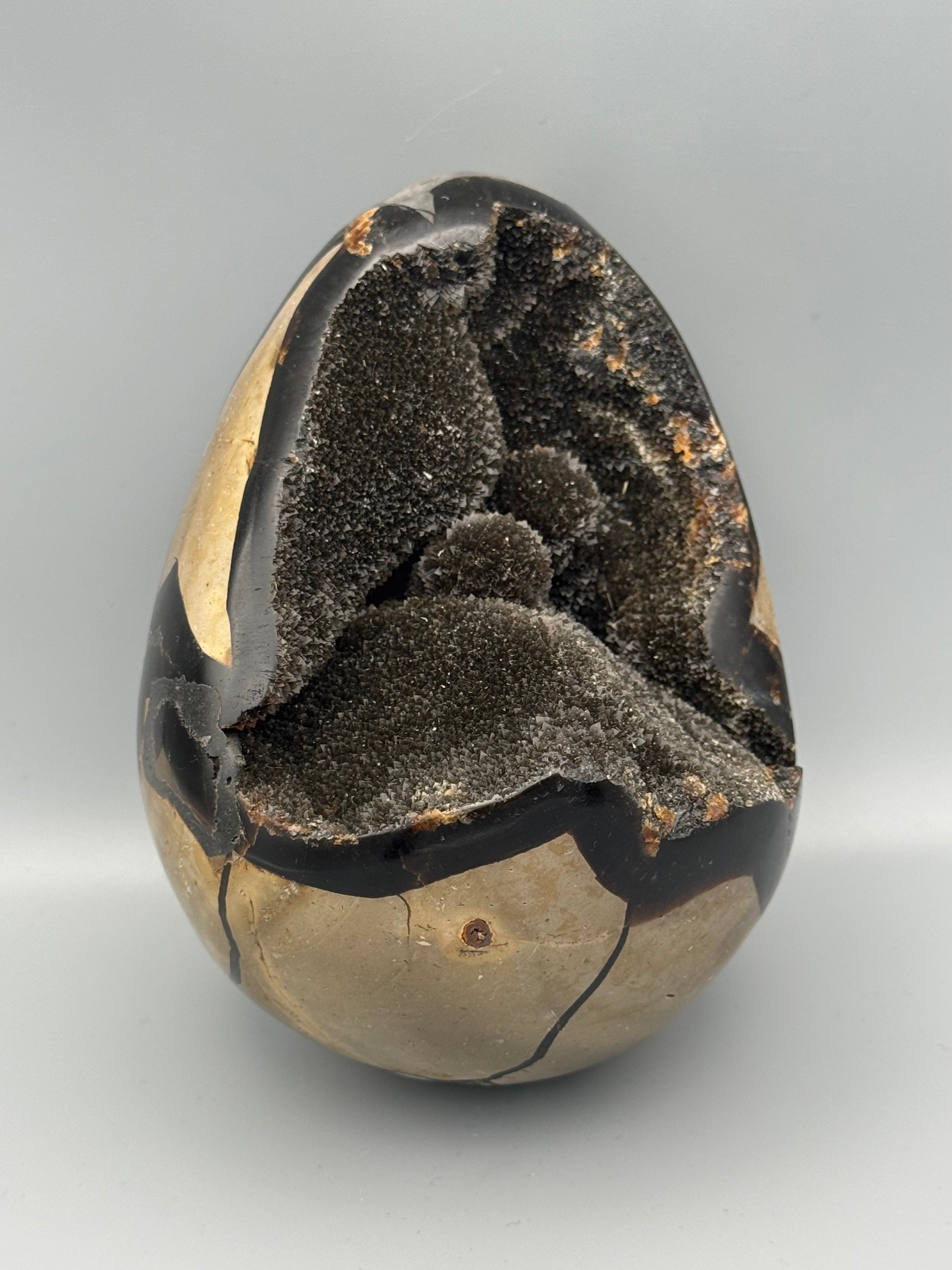 •SEPTARIAN NODULE• dragon egg