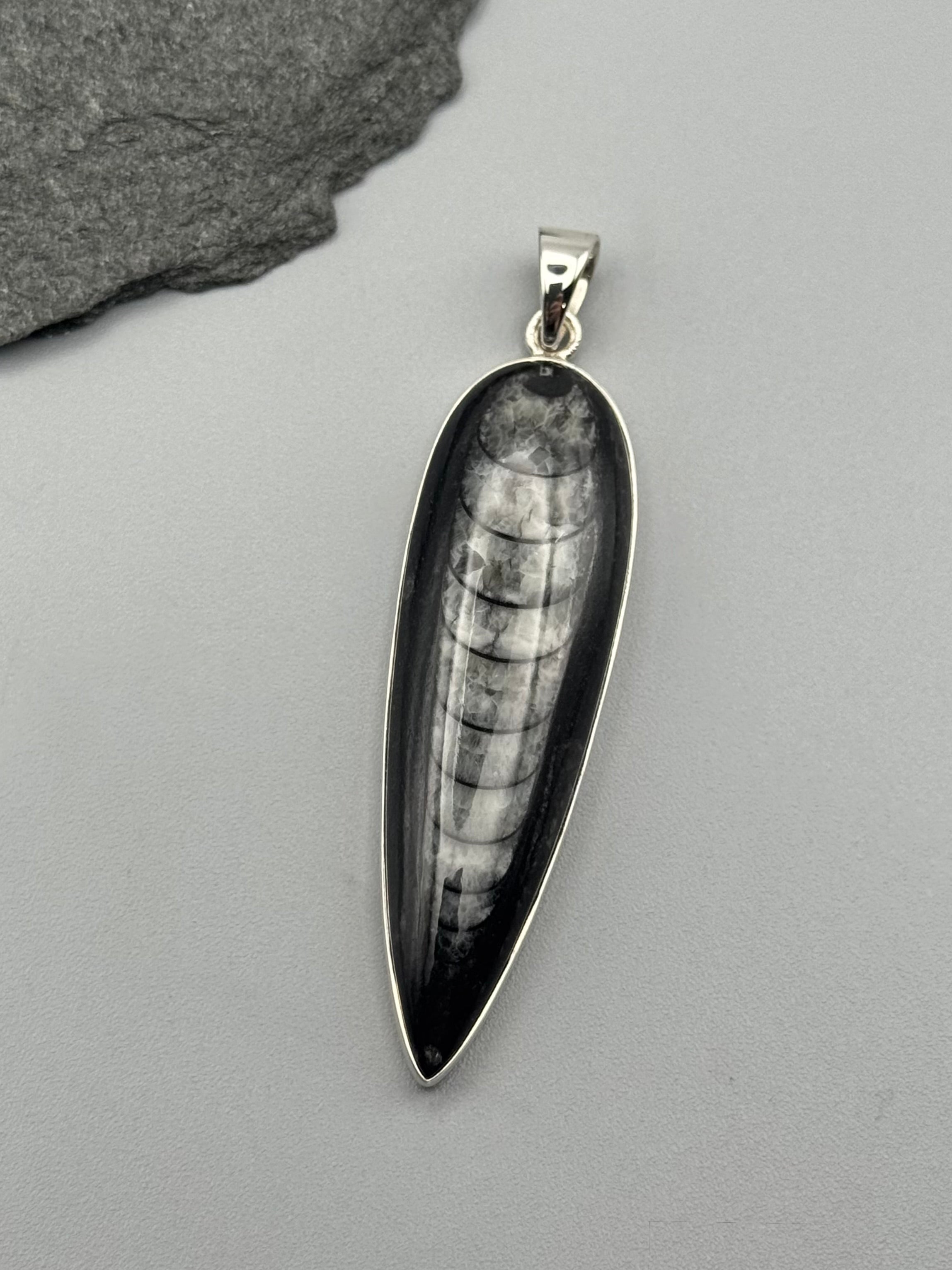 •ORTHOCERAS FOSSIL - SPEAR TEAR 3• sterling silver pendant