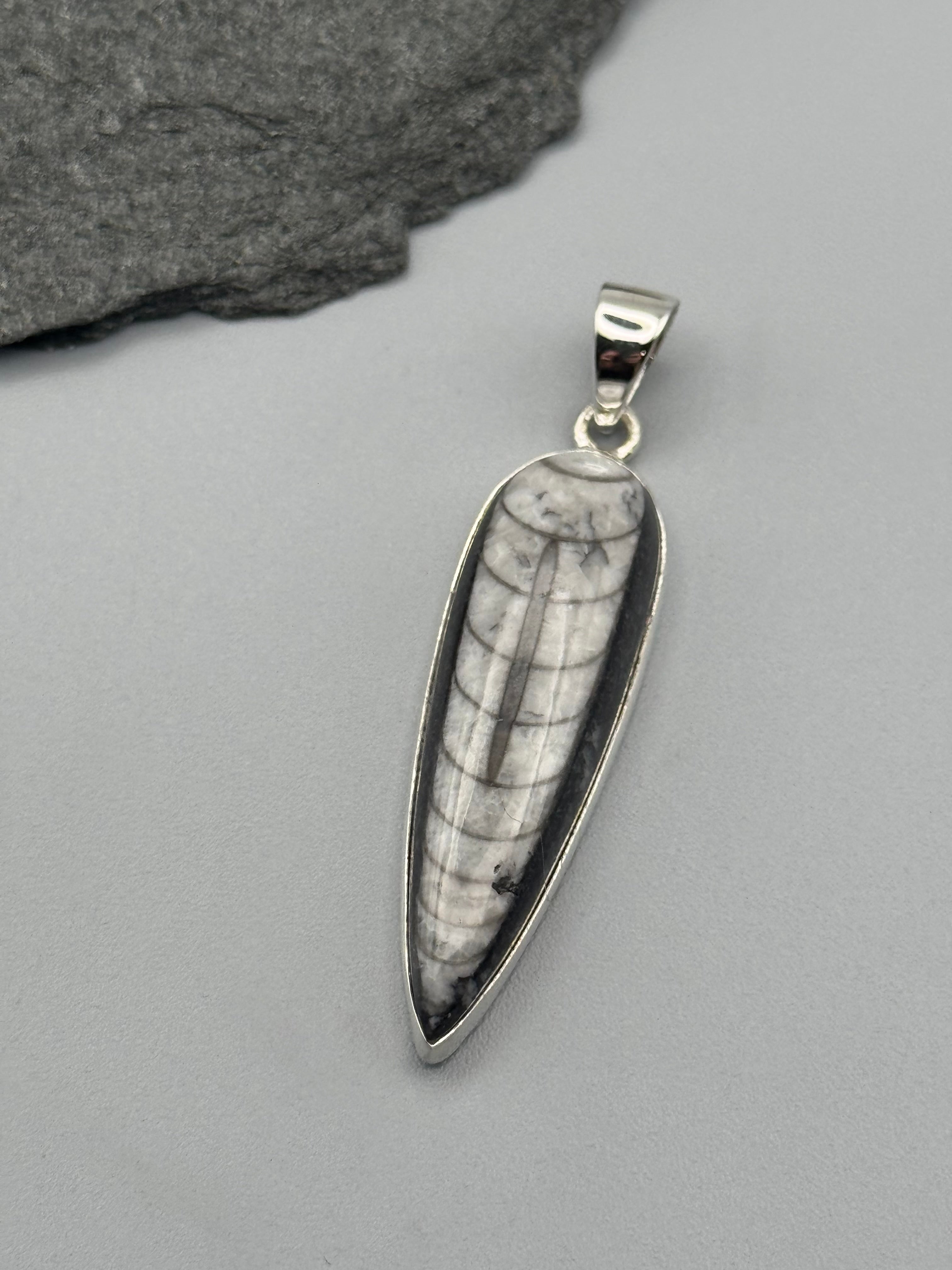 •ORTHOCERAS FOSSIL - SPEAR TEAR 1• sterling silver pendant