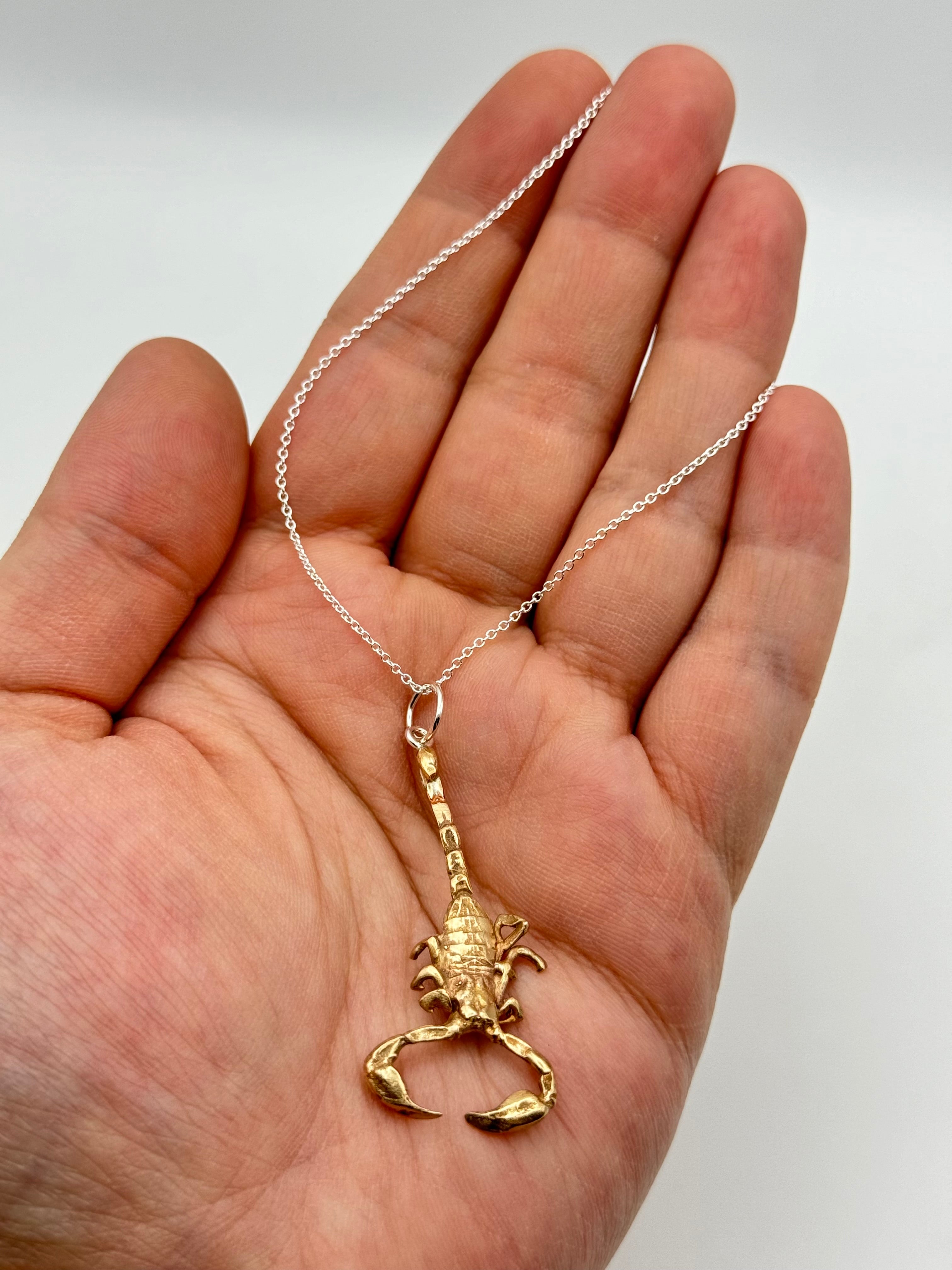 •SCORPION CAST• bronze + silver necklace