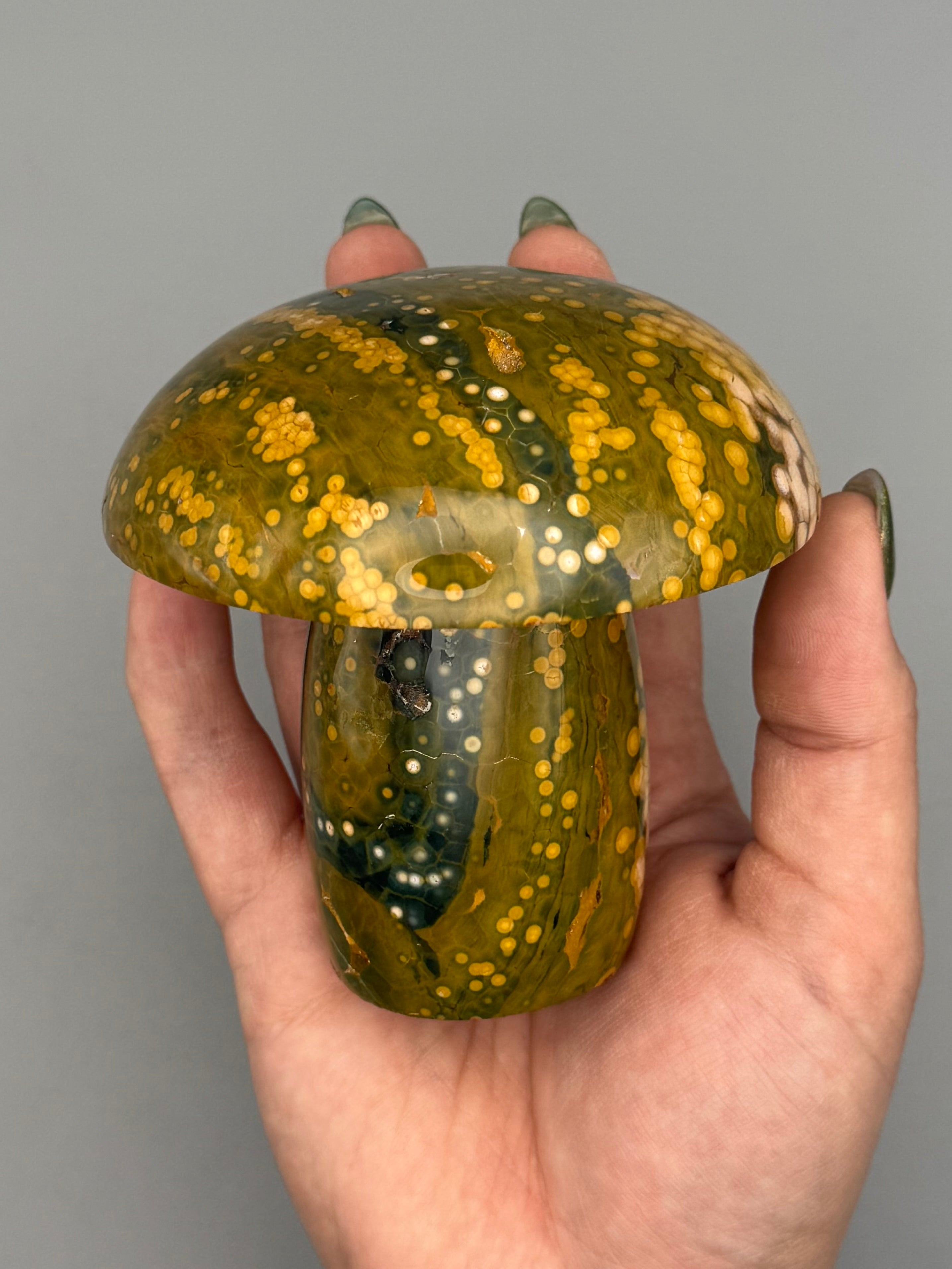 •KABAMBY OCEAN JASPER• carved mushroom