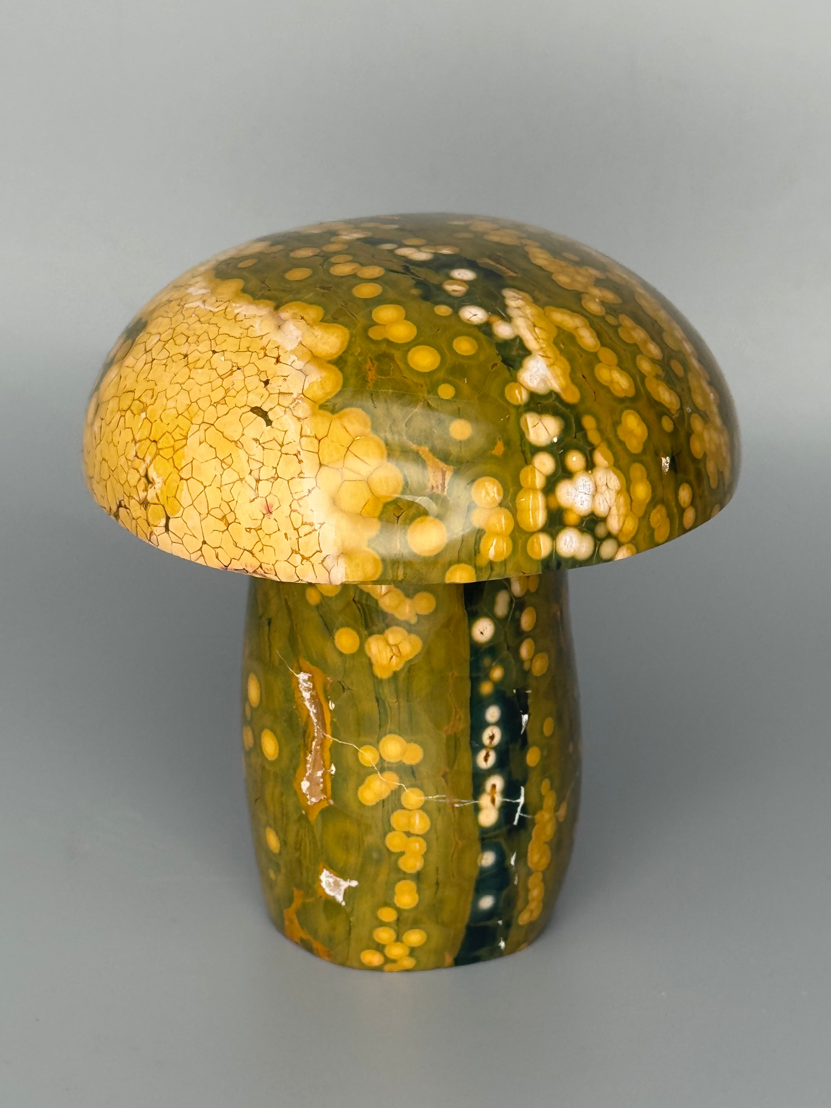 •KABAMBY OCEAN JASPER• carved mushroom