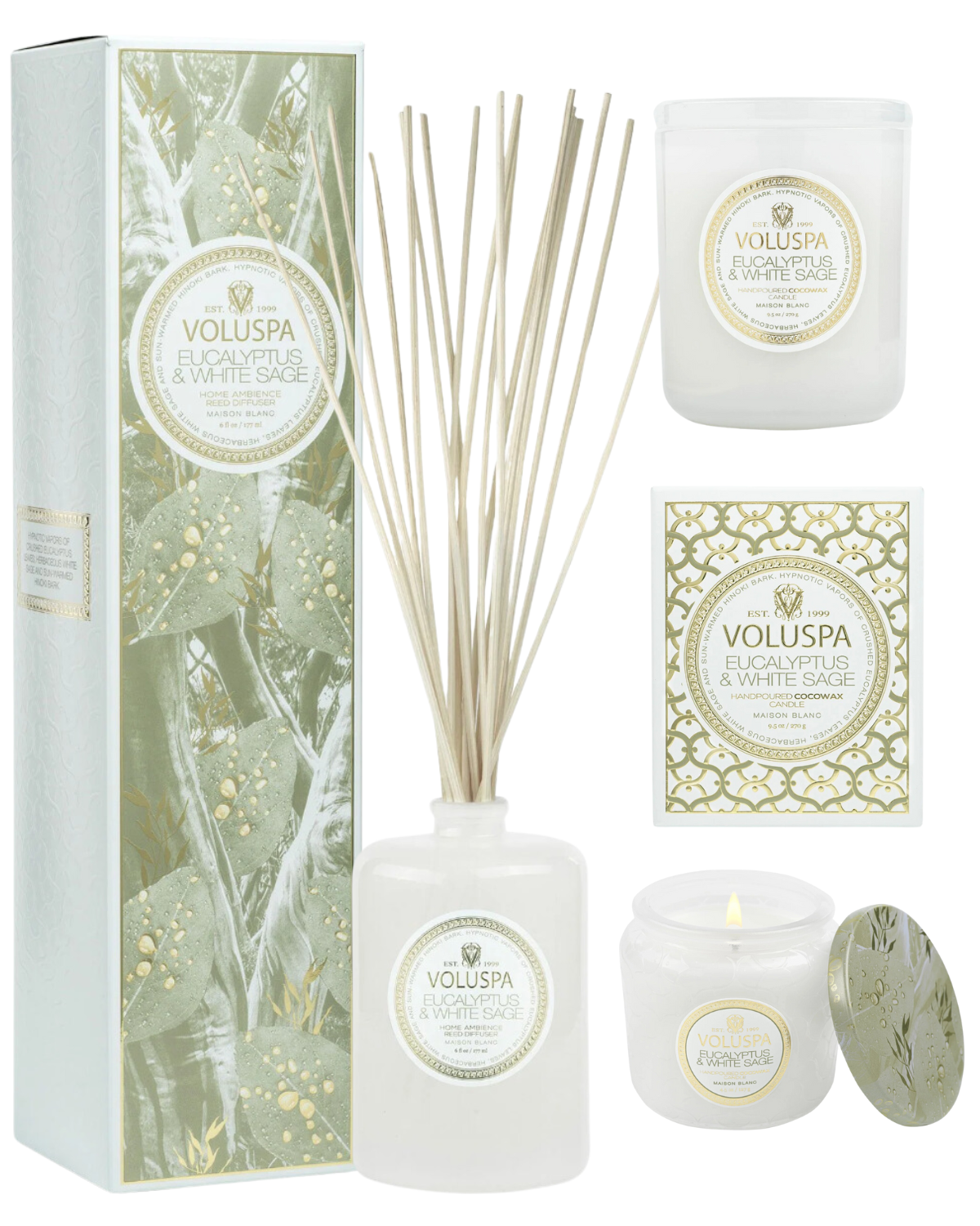 •EUCALYPTUS & WHITE SAGE• fragrance