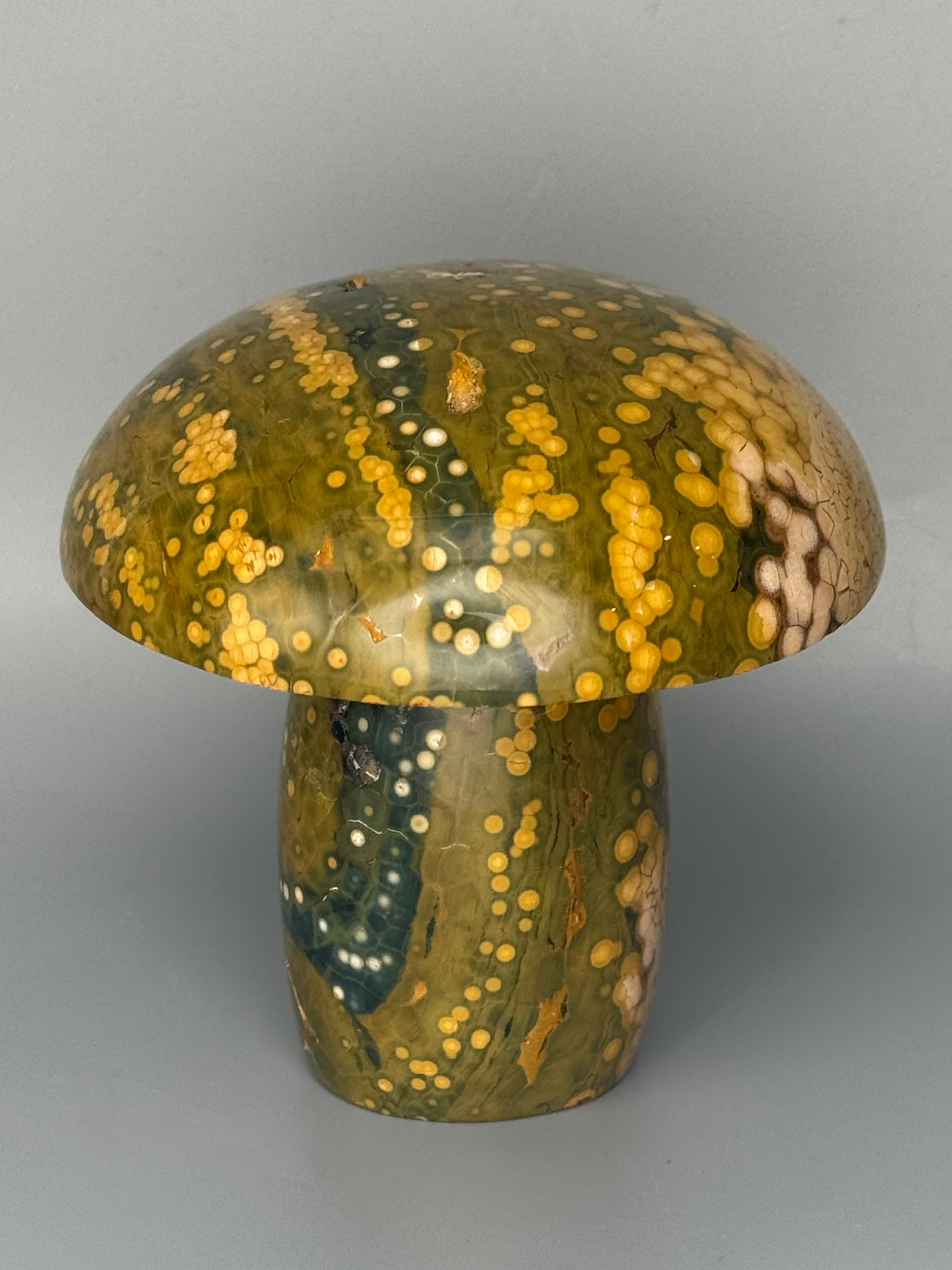 •KABAMBY OCEAN JASPER• carved mushroom