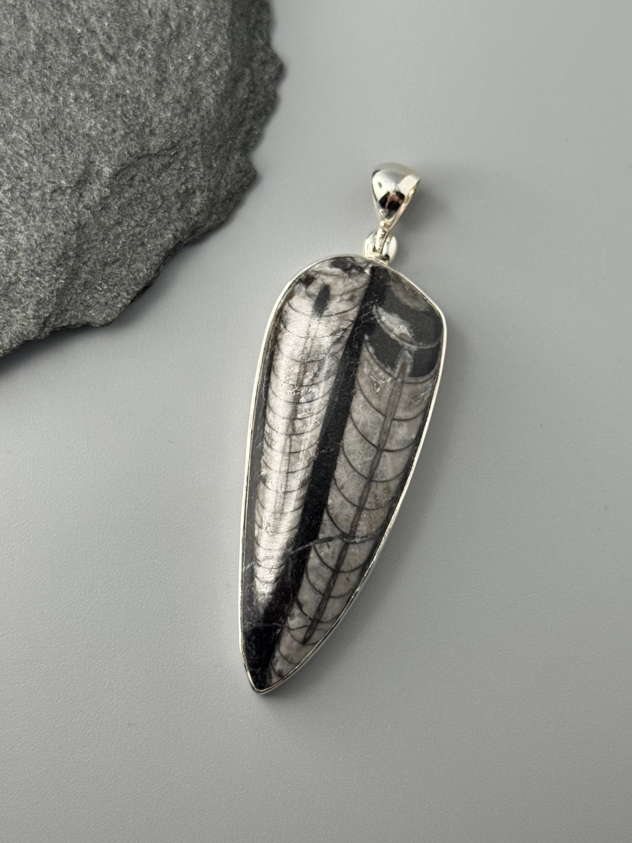 •ORTHOCERAS FOSSIL - 1• sterling silver pendant