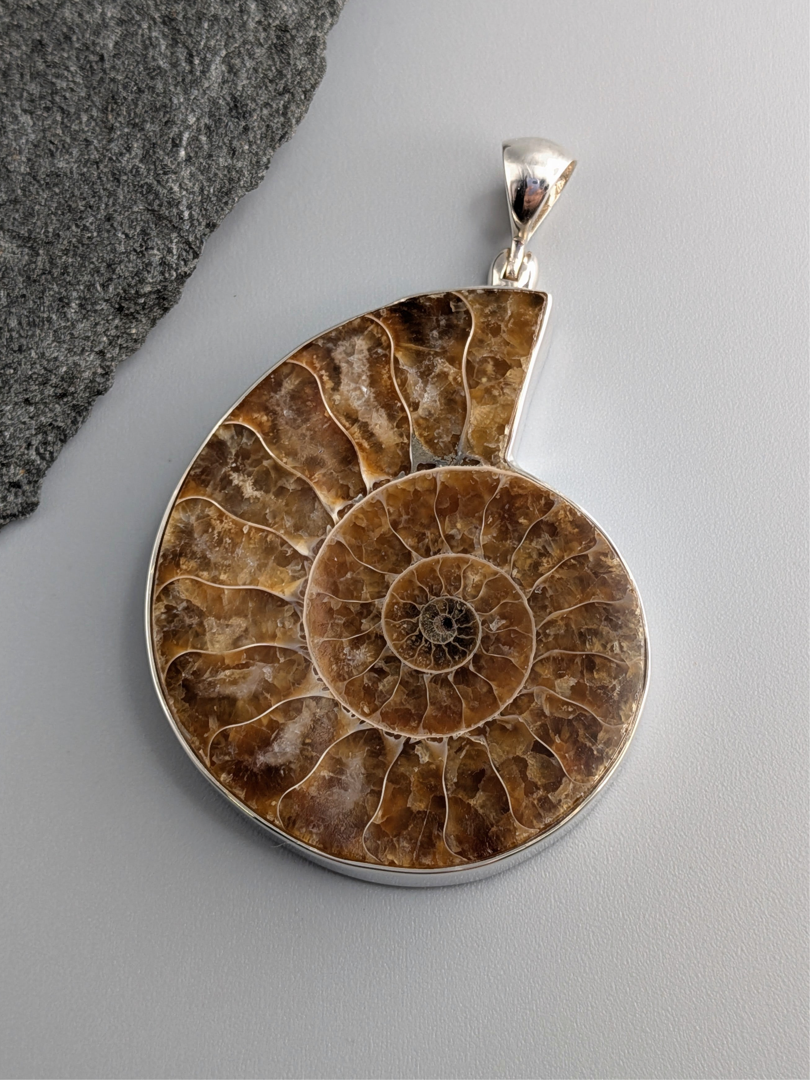 •AMMONITE - LARGE• sterling silver pendant