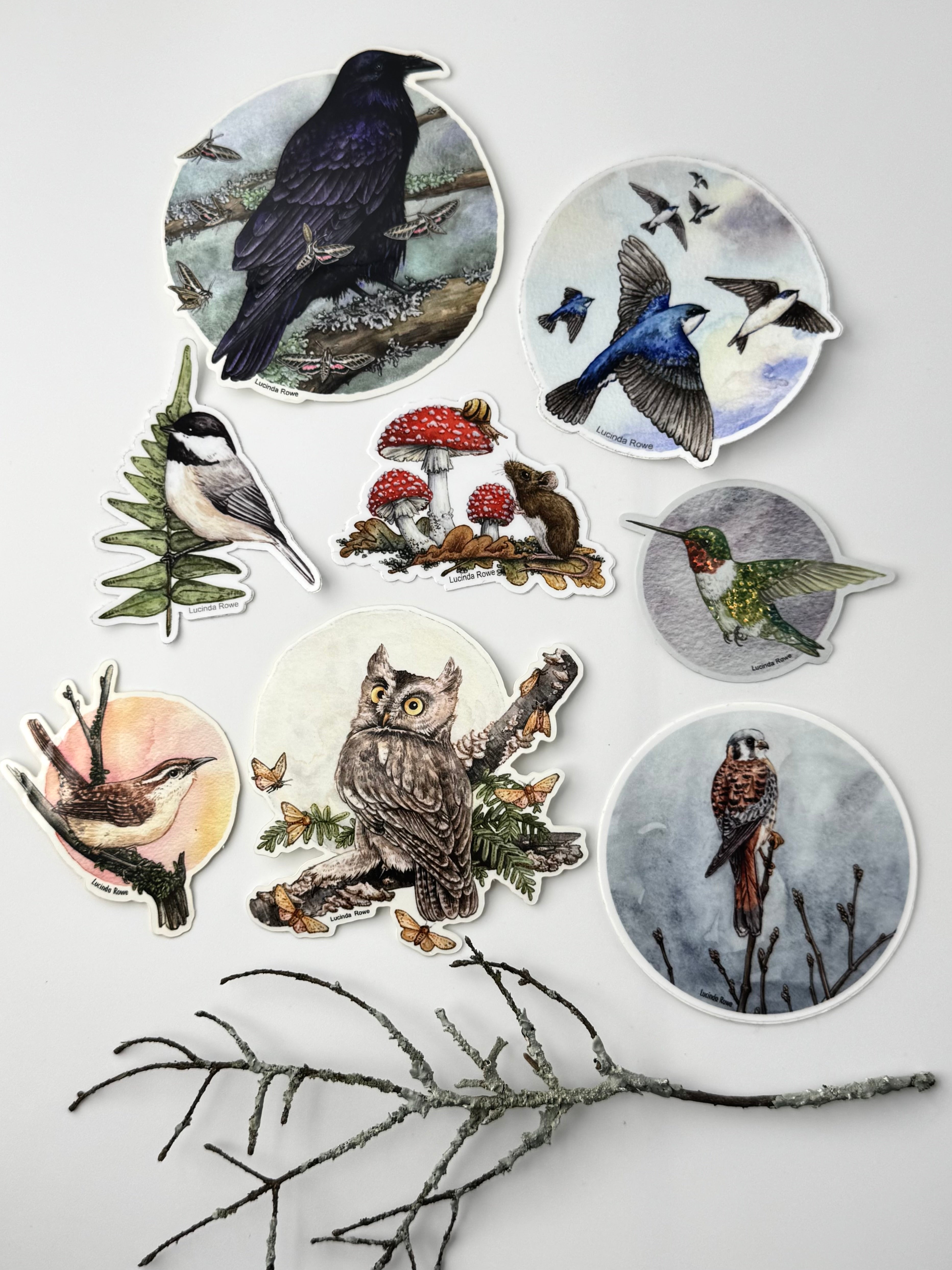 •BIRDS & CRITTERS• vinyl stickers