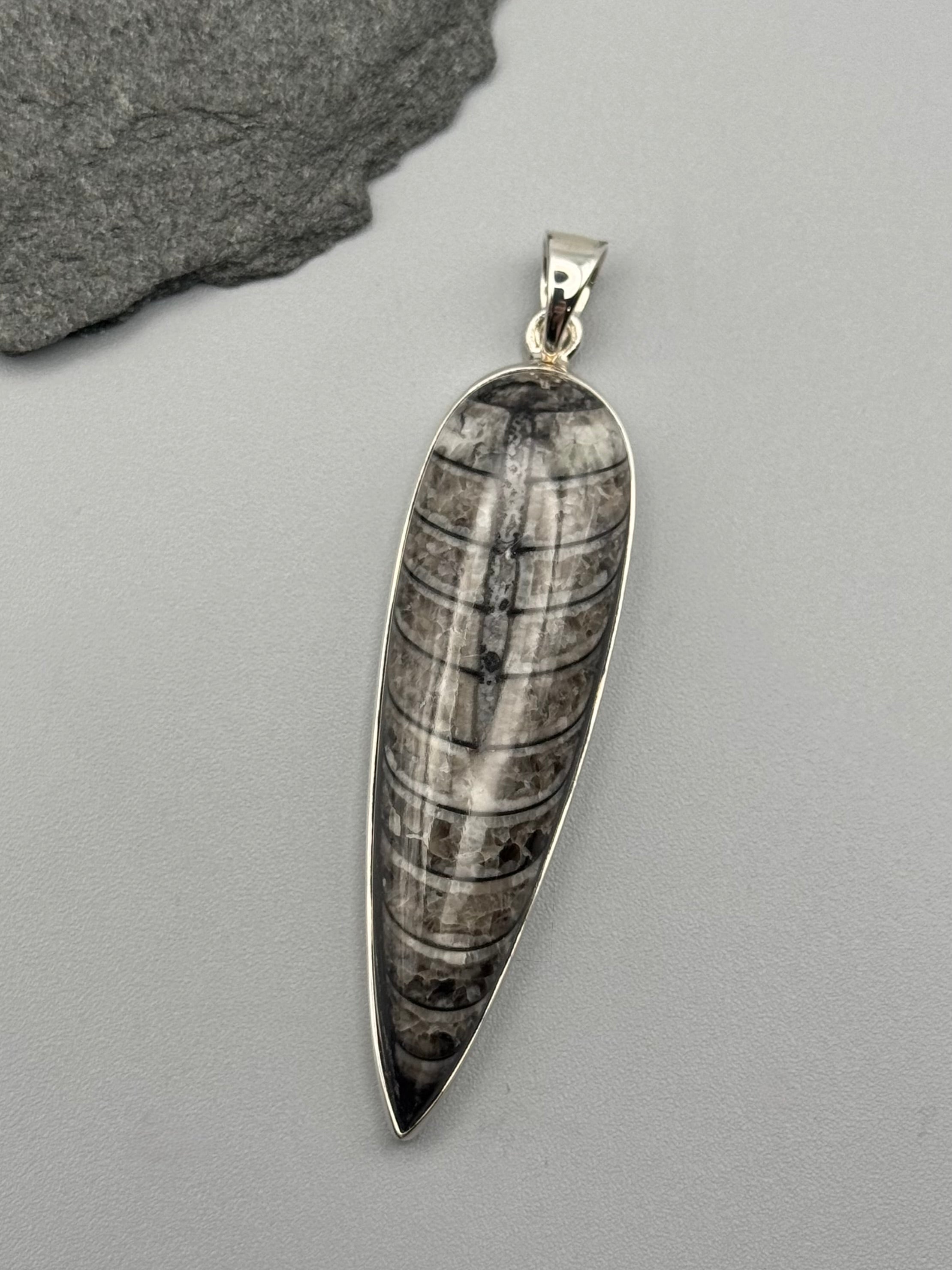 •ORTHOCERAS FOSSIL - SPEAR TEAR 4• sterling silver pendant