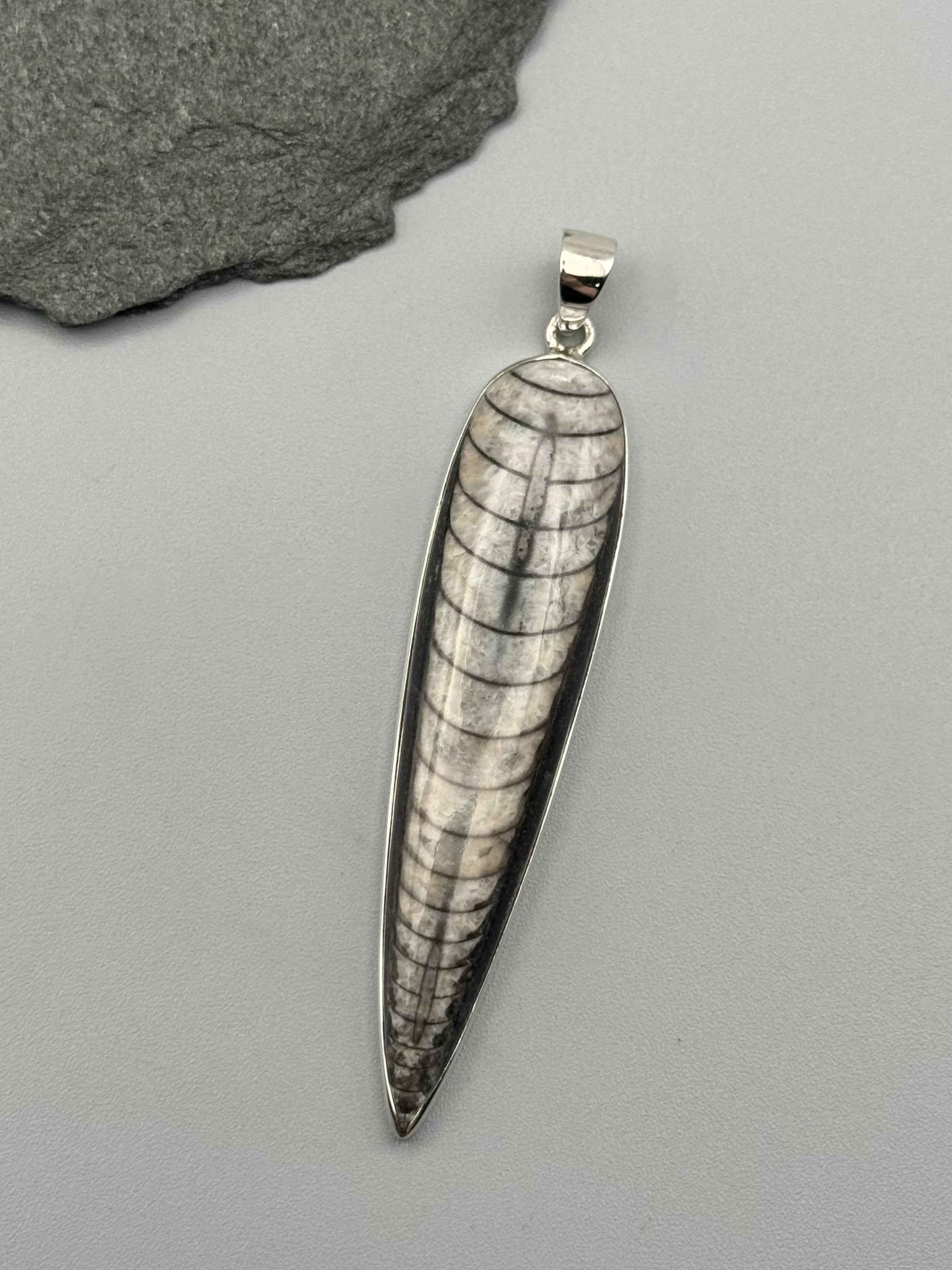 •ORTHOCERAS FOSSIL - SPEAR TEAR 5• sterling silver pendant