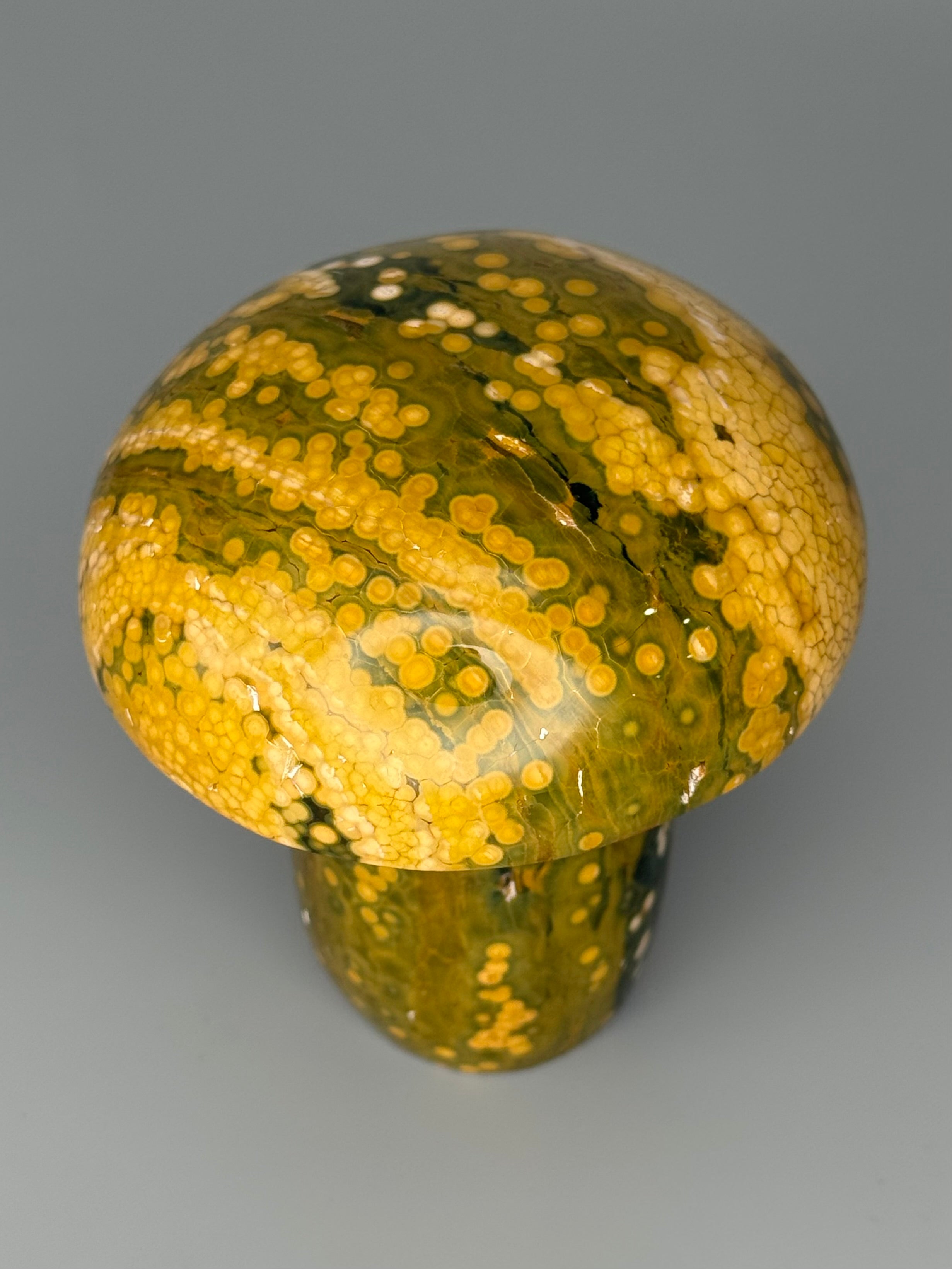 •KABAMBY OCEAN JASPER• carved mushroom