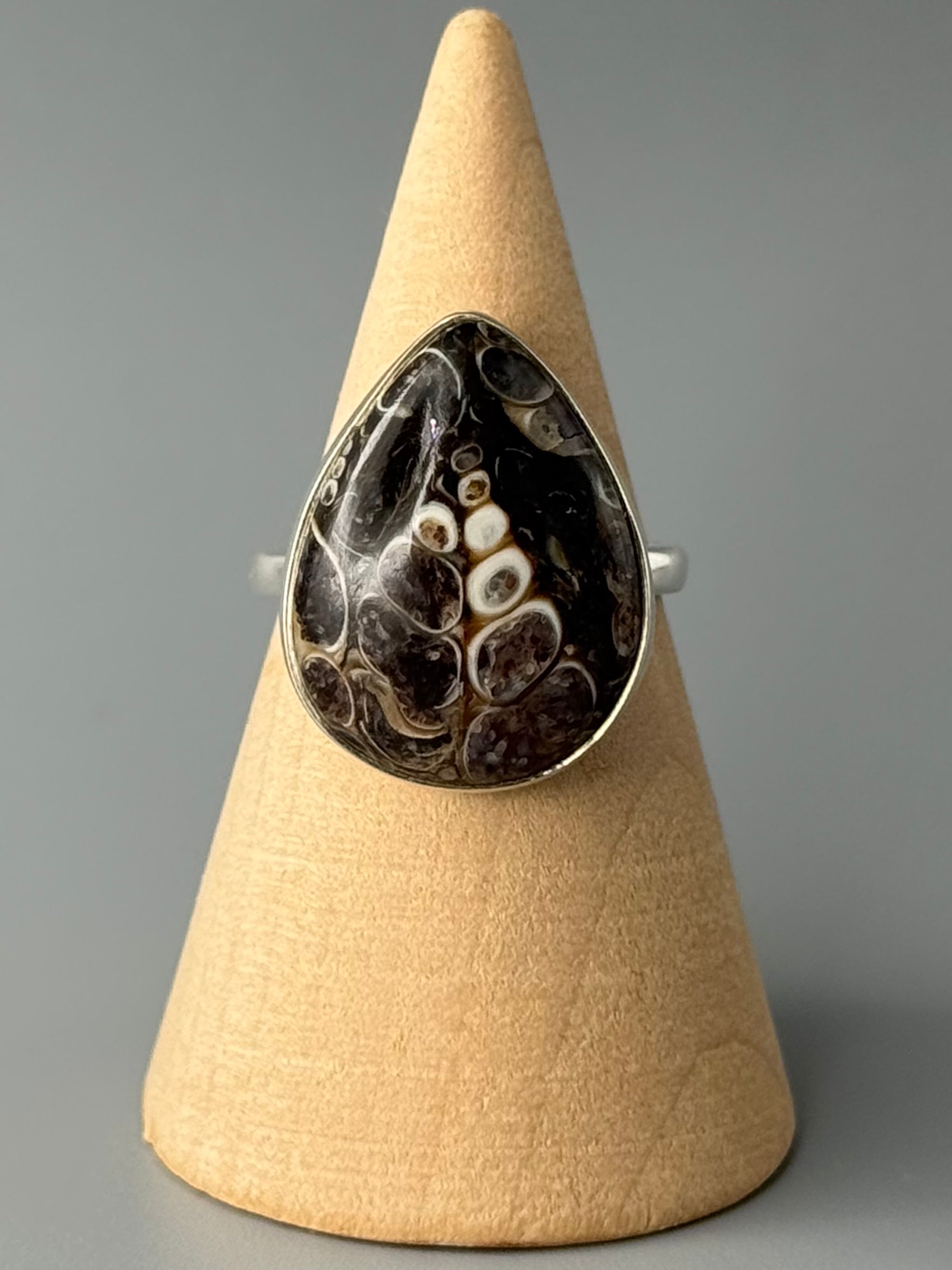 •TURRITELLA FOSSIL - TEAR• simple bezel silver ring (size 7)