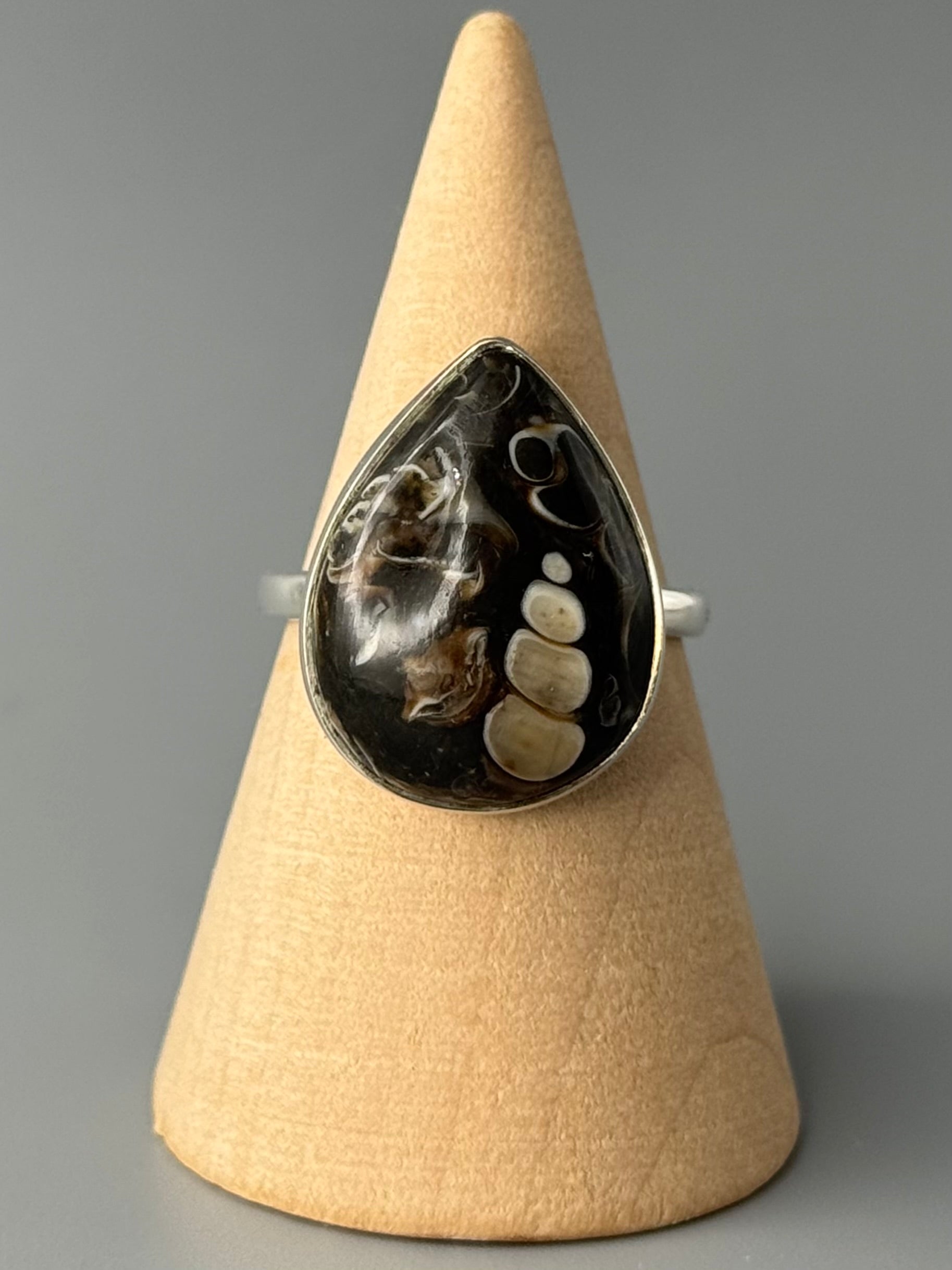 •TURRITELLA FOSSIL - TEAR• simple bezel silver ring (size 8)