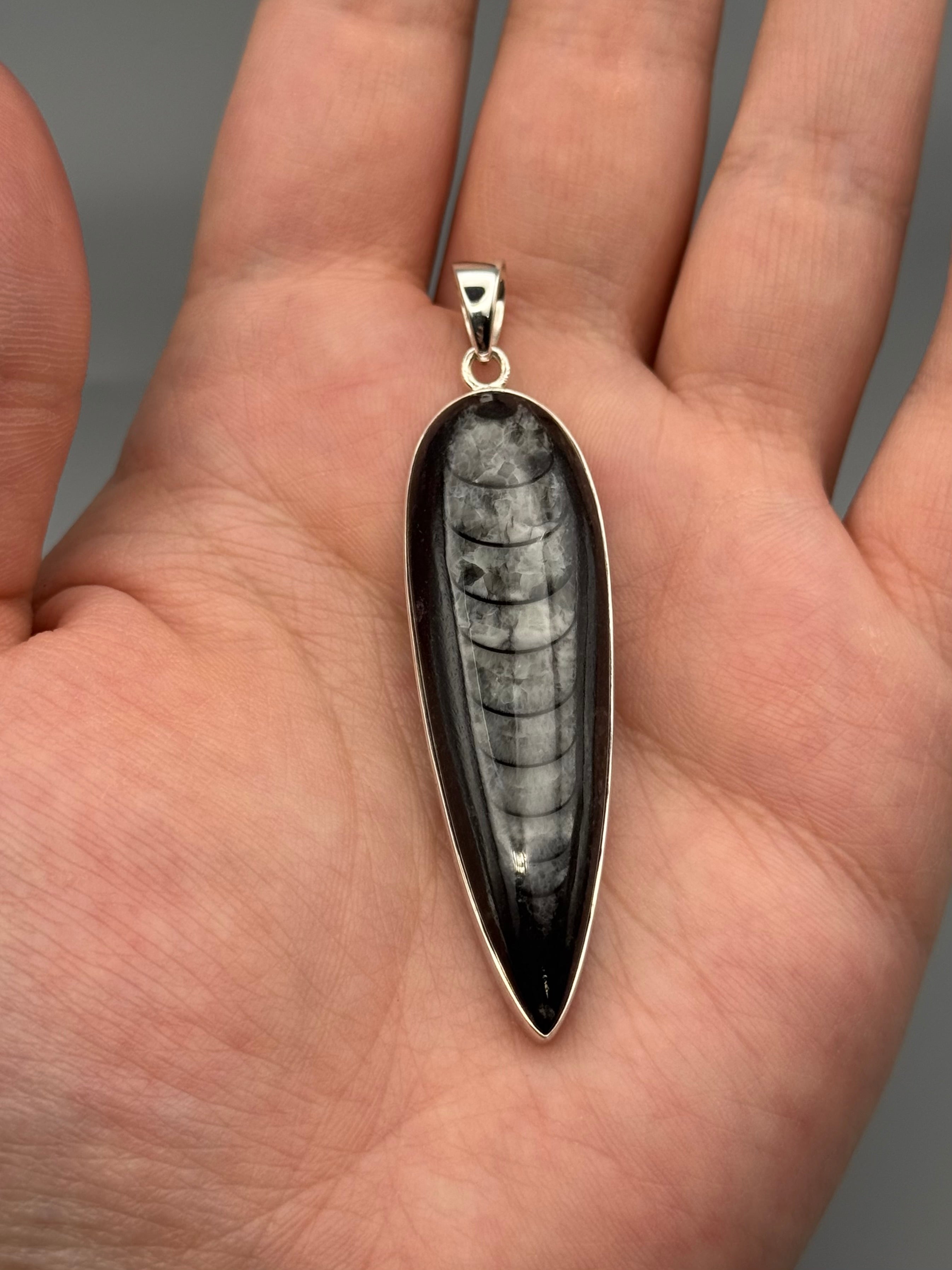 •ORTHOCERAS FOSSIL - SPEAR TEAR 3• sterling silver pendant
