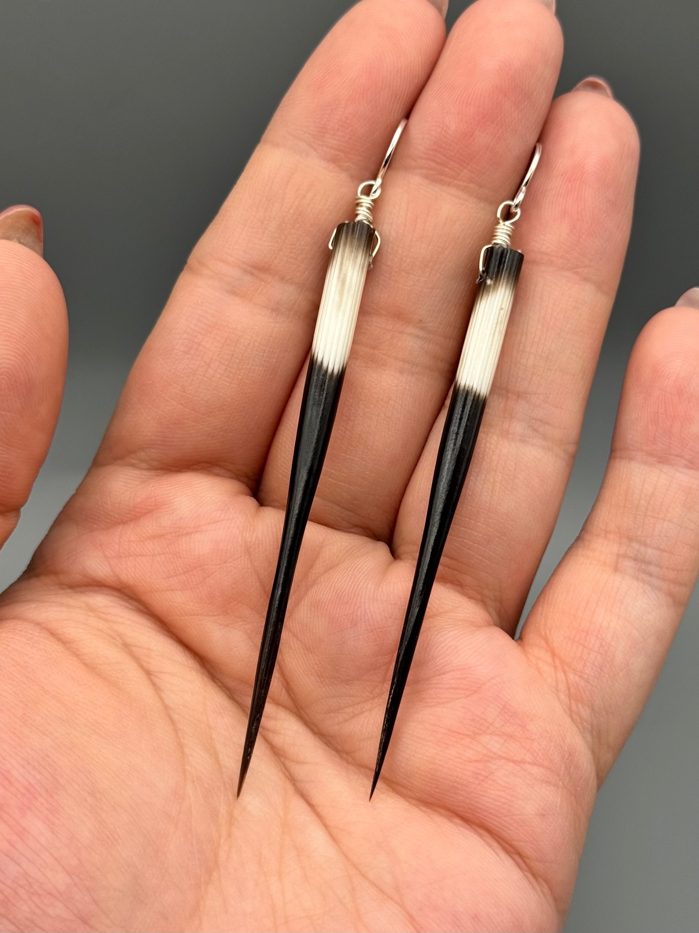 •SIMPLE• porcupine quill + silver earrings