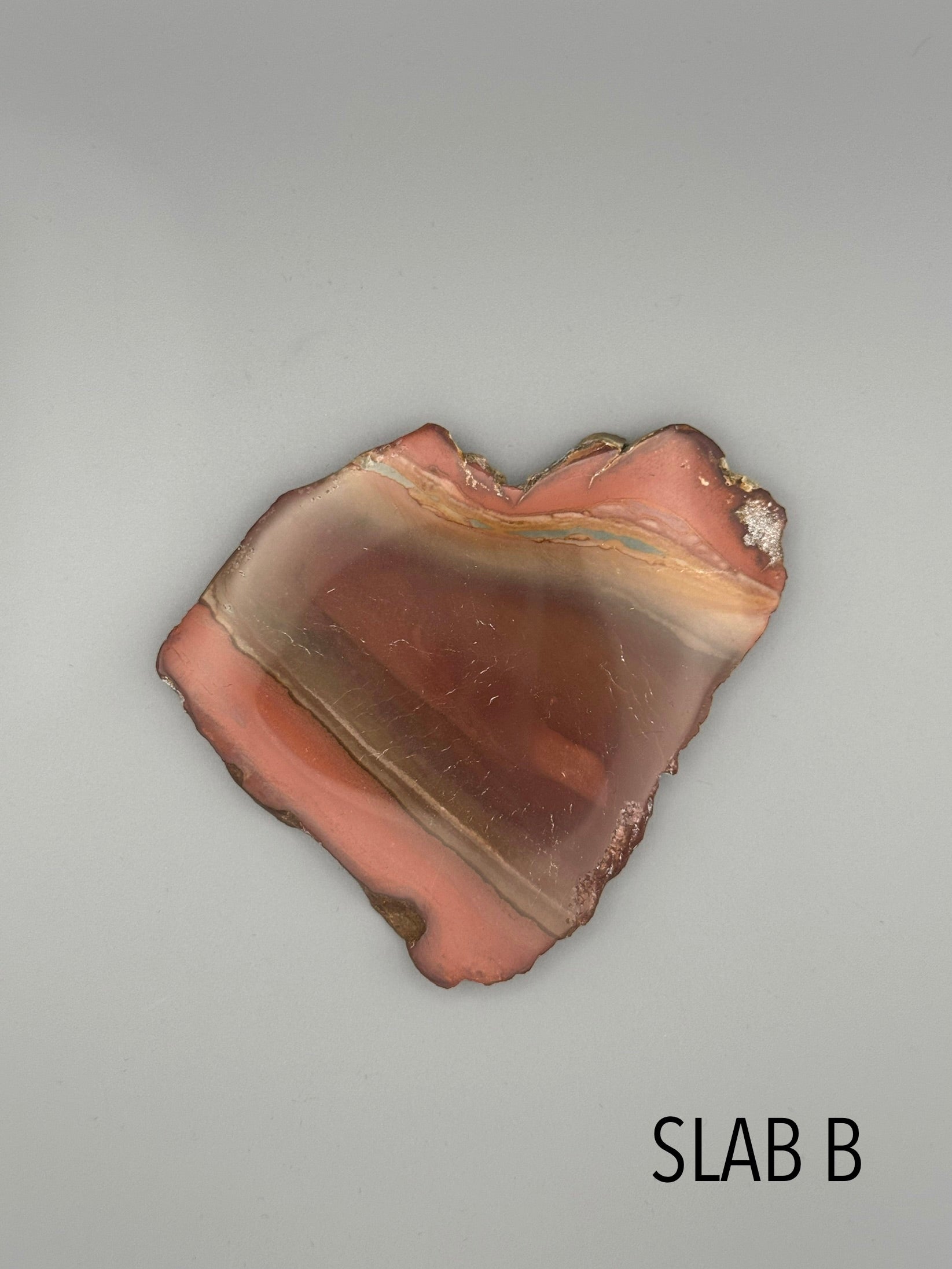 •POLYCHROME JASPER• small sister slabs