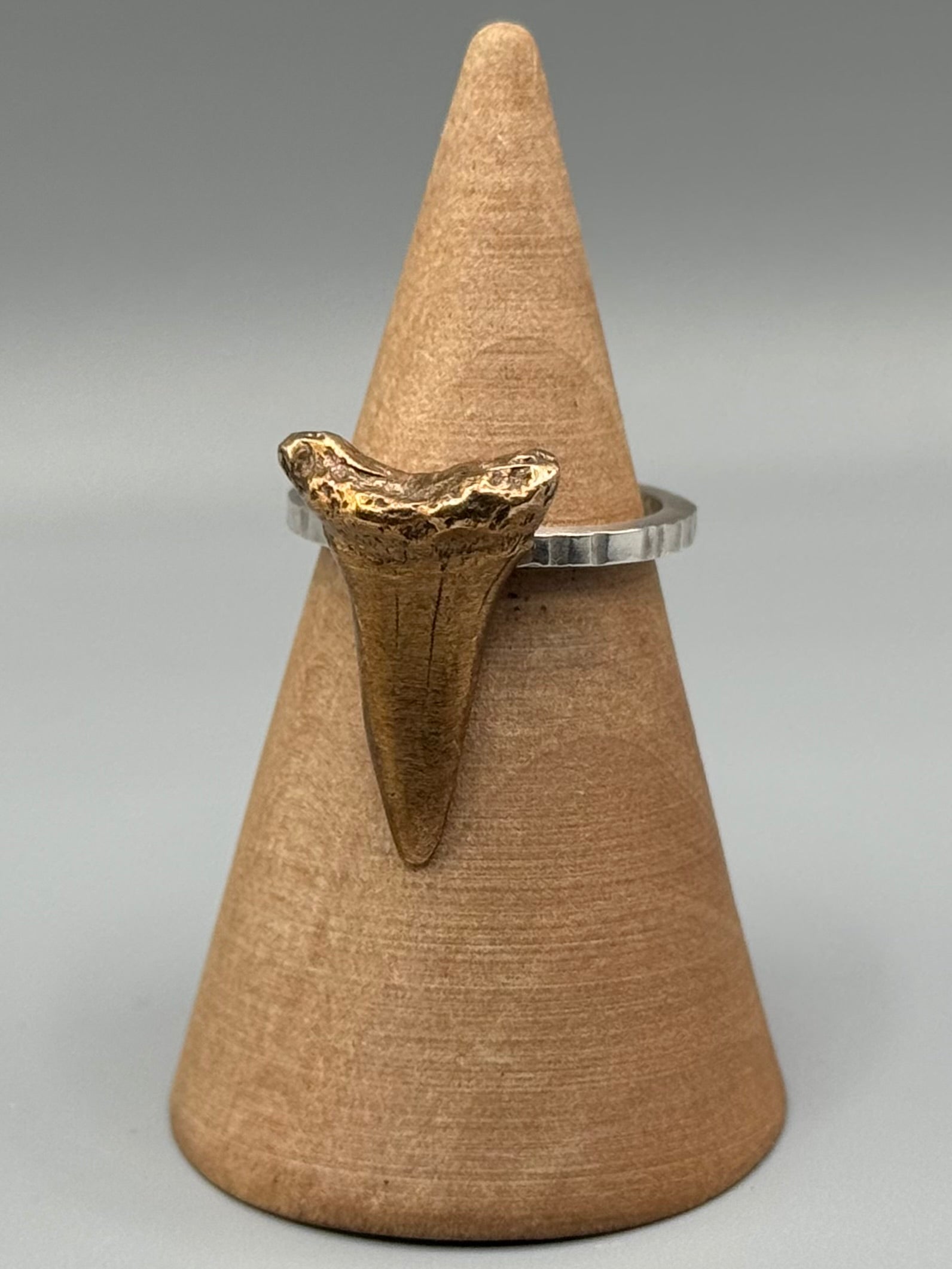 •SHARKS TOOTH CAST• mixed metal ring