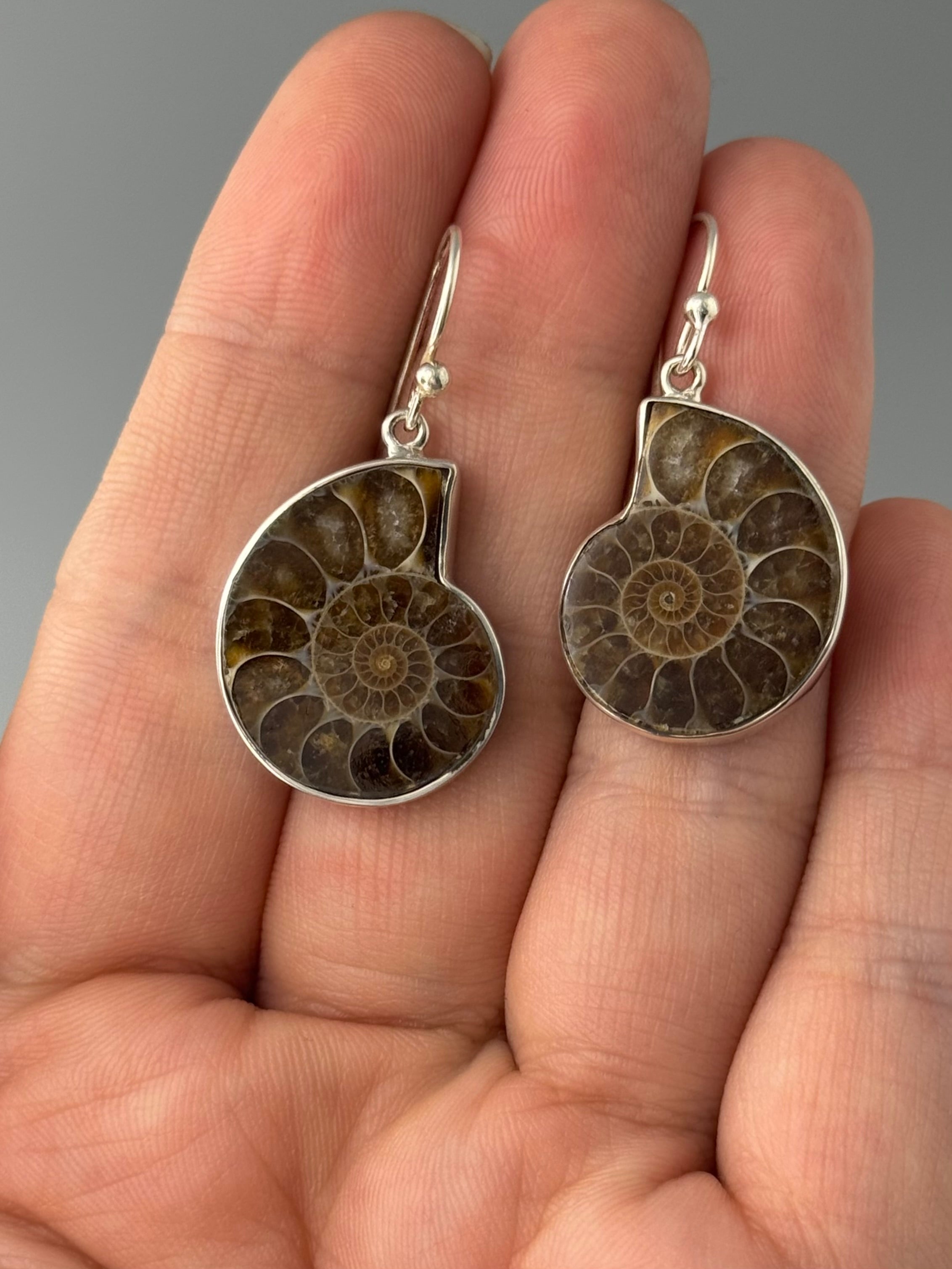 •AMMONITE• silver dangle earrings