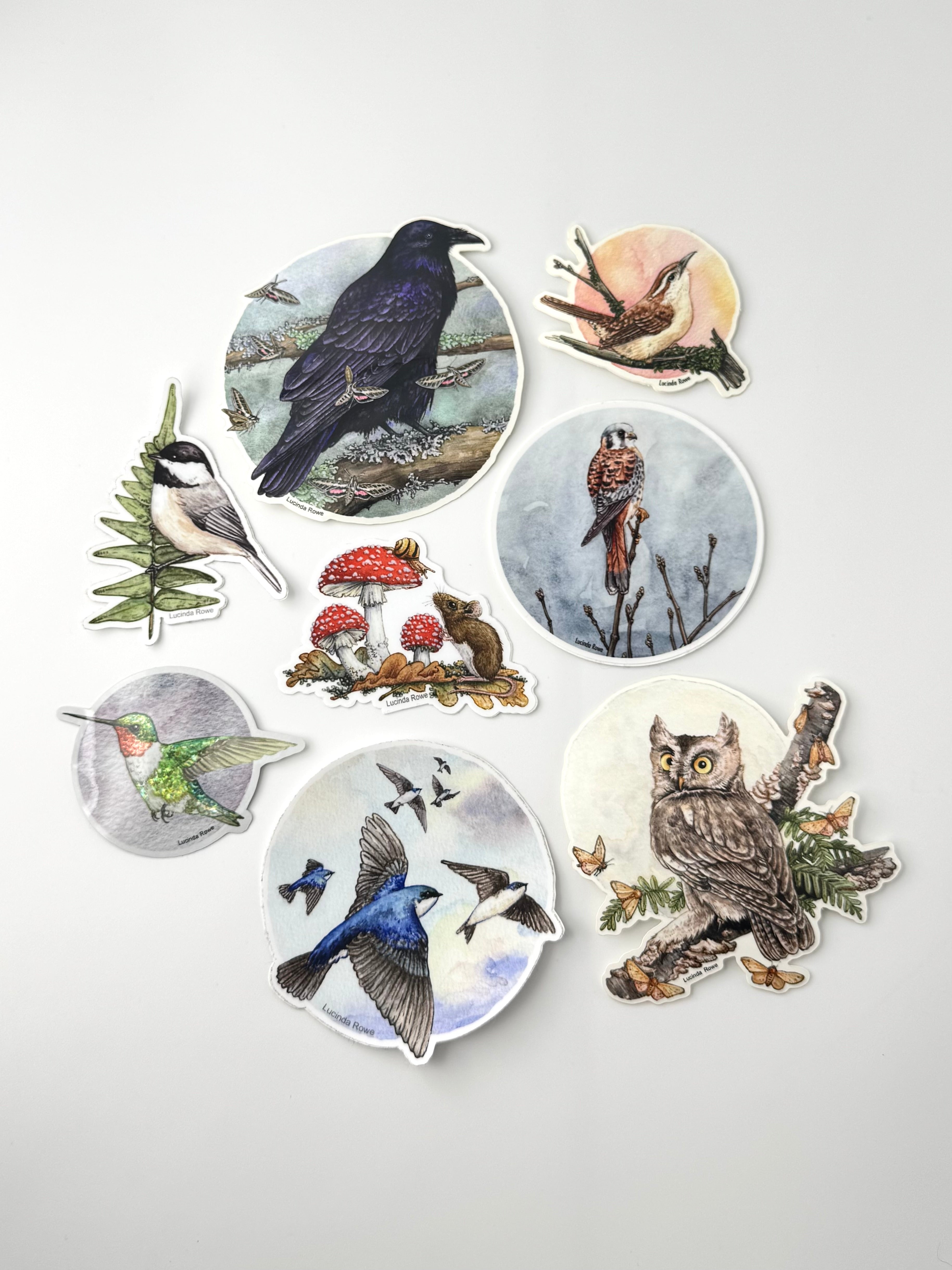 •BIRDS & CRITTERS• vinyl stickers