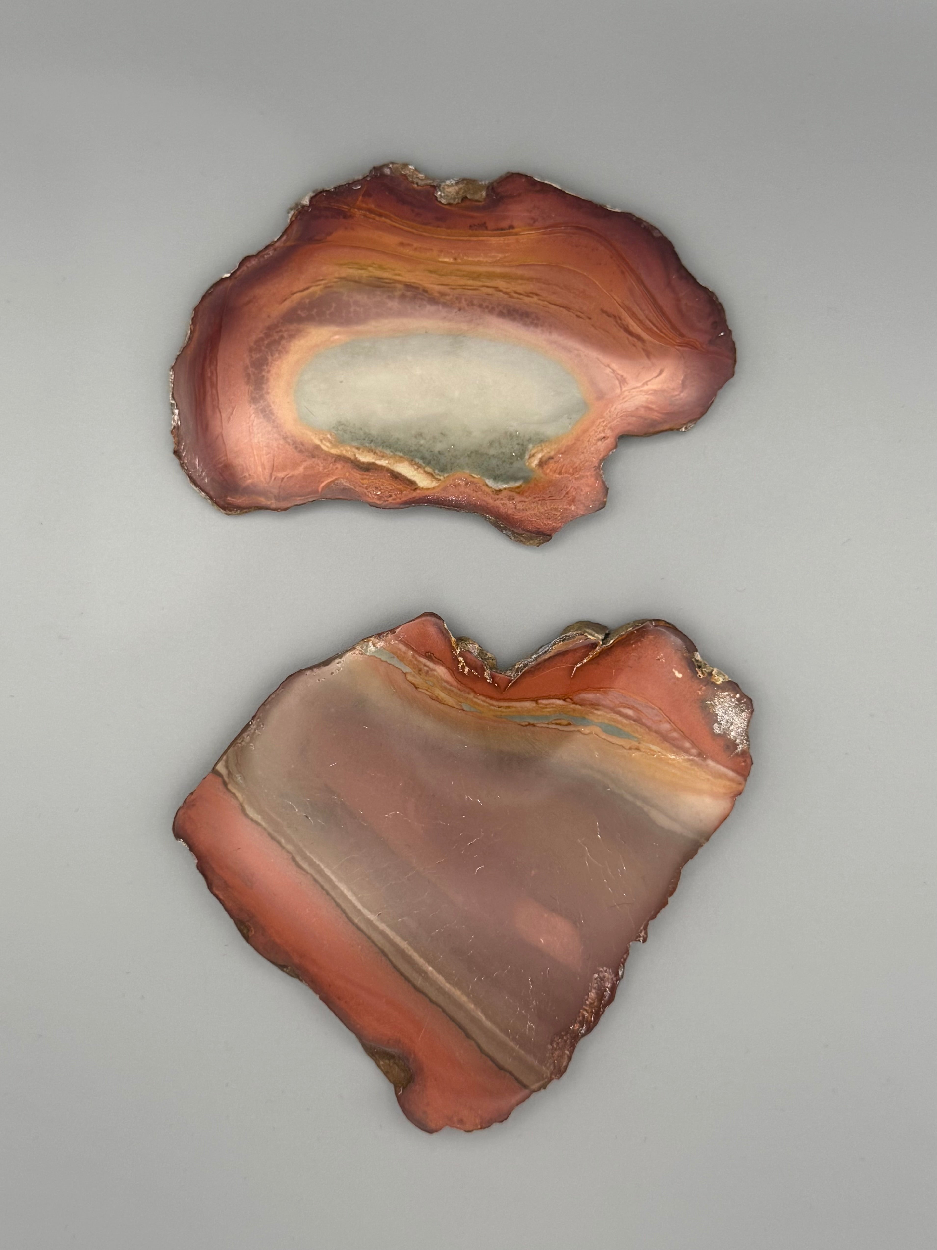 •POLYCHROME JASPER• small sister slabs