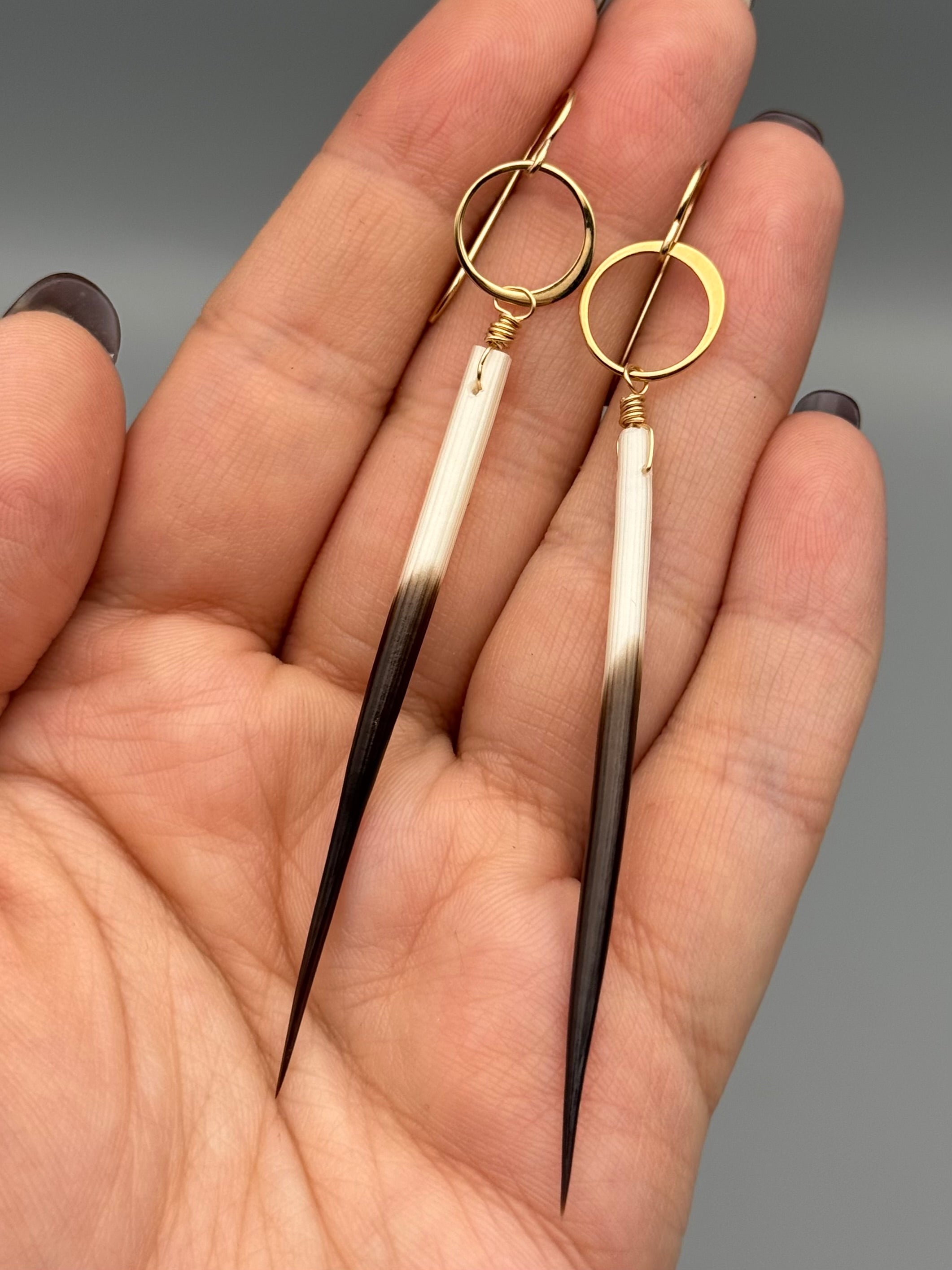 •ECLIPSE• porcupine quill + gold earrings