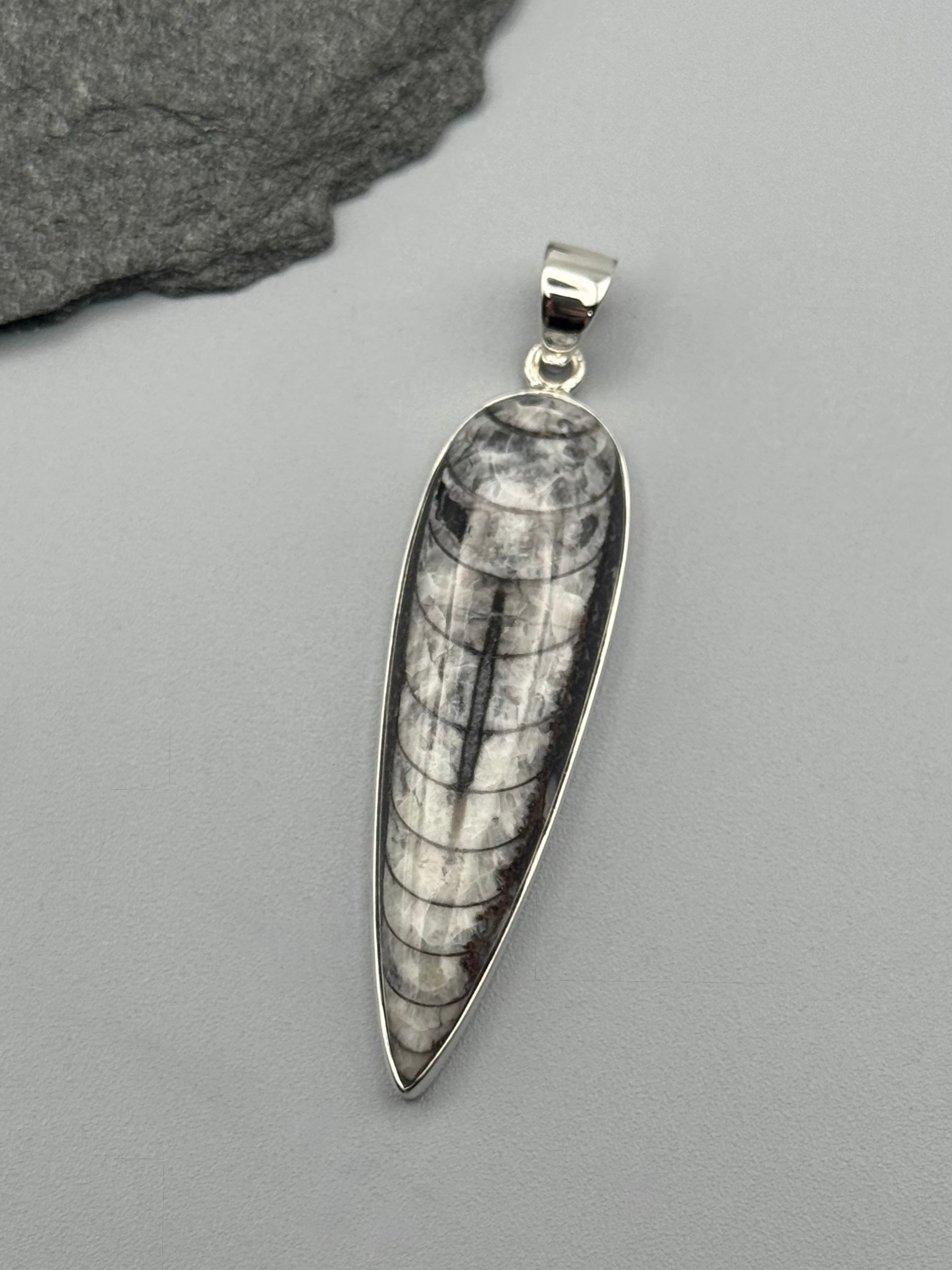 •ORTHOCERAS FOSSIL - SPEAR TEAR 2• sterling silver pendant
