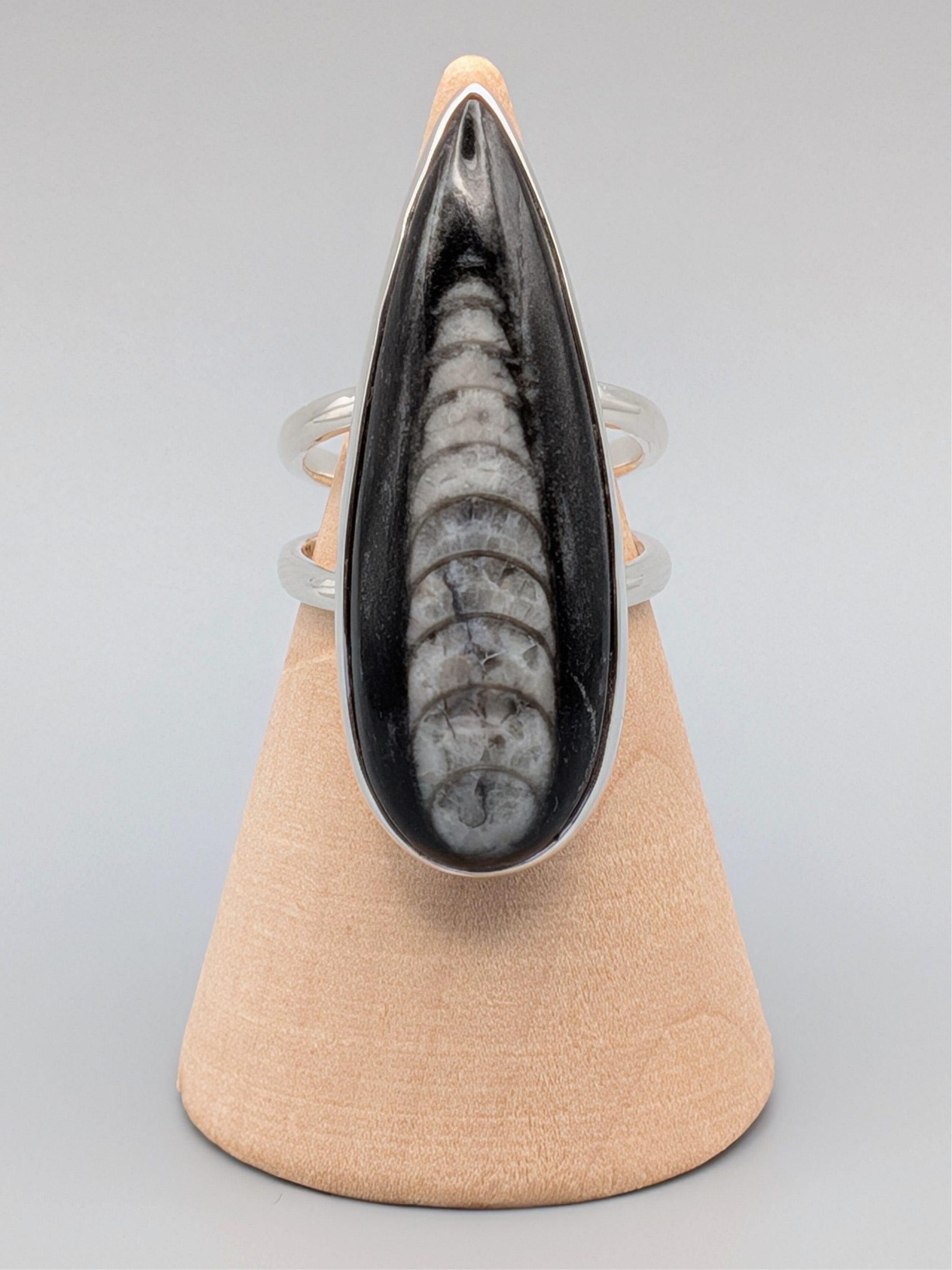 •ORTHOCERAS - TEARDROP• split band silver ring (size 6)