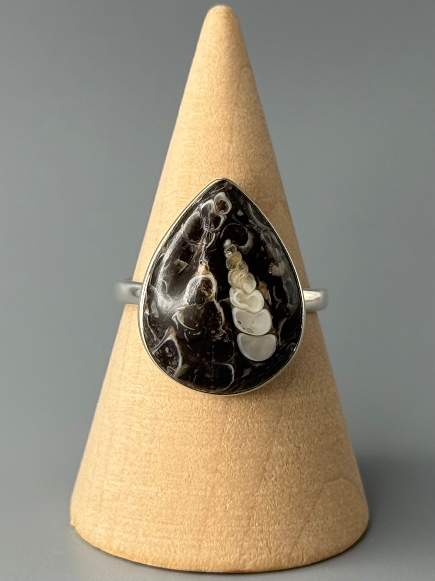 •TURRITELLA FOSSIL - TEAR• simple bezel silver ring (size 9)