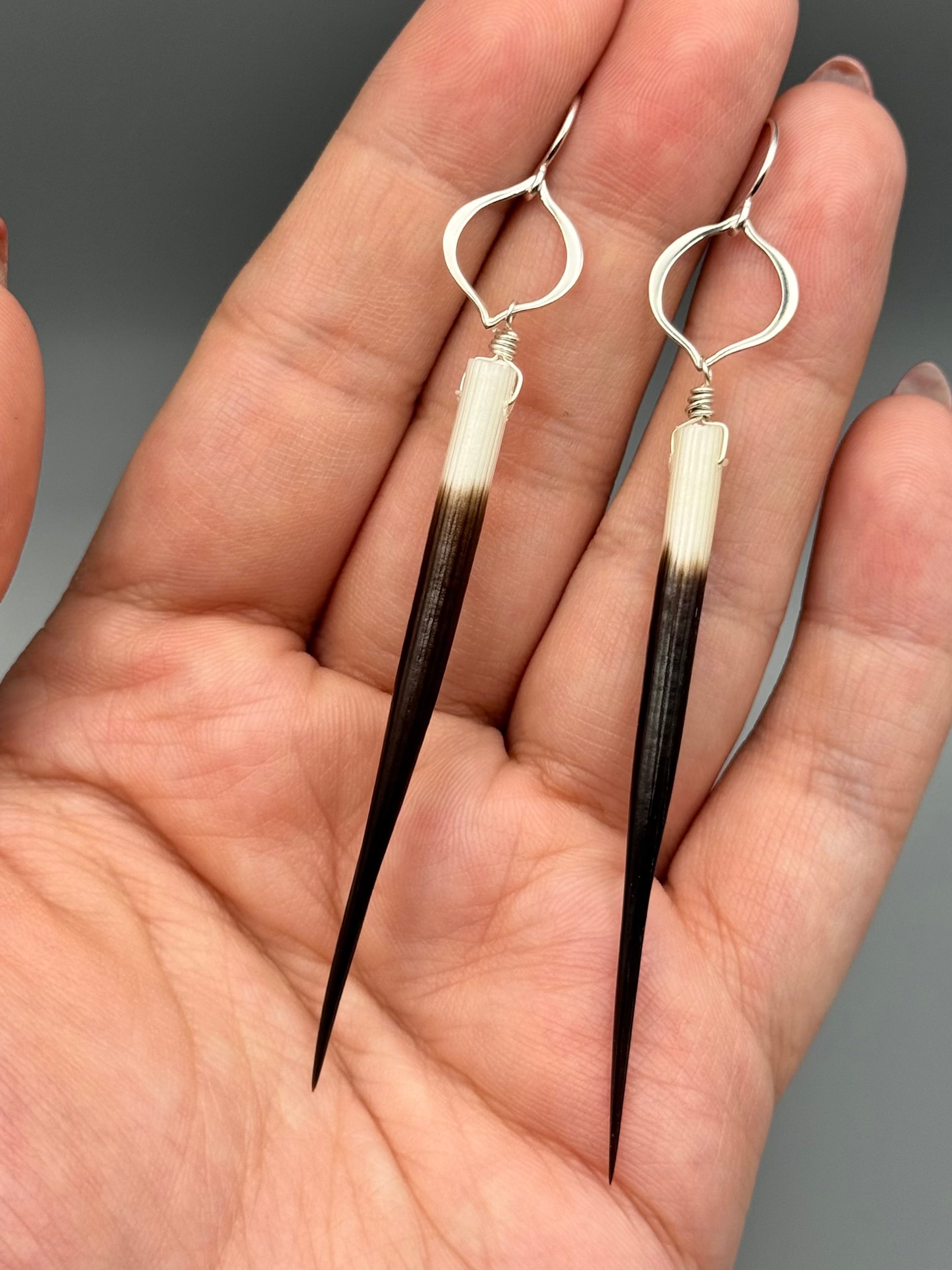 •ARABESQUE• porcupine quill + silver earrings