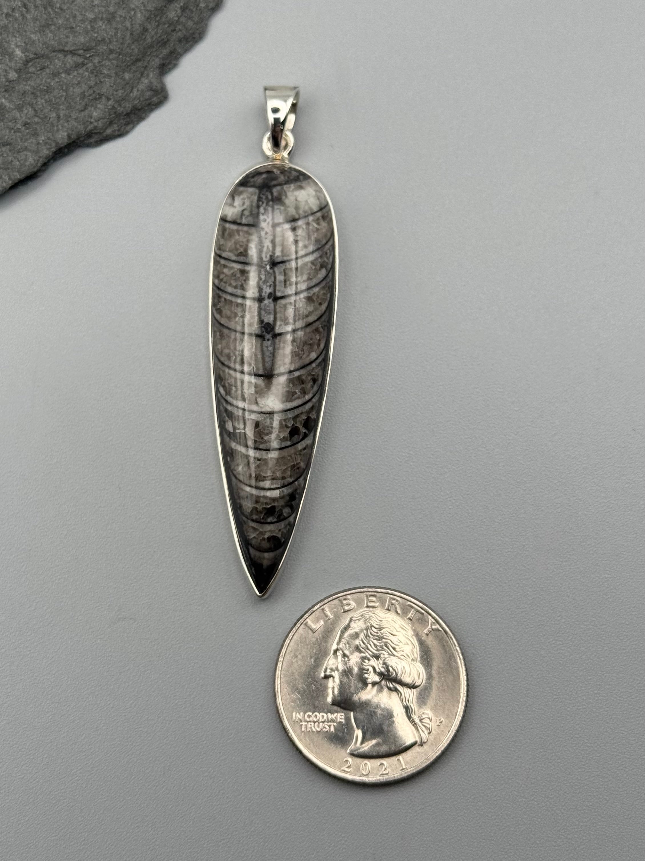 •ORTHOCERAS FOSSIL - SPEAR TEAR 4• sterling silver pendant
